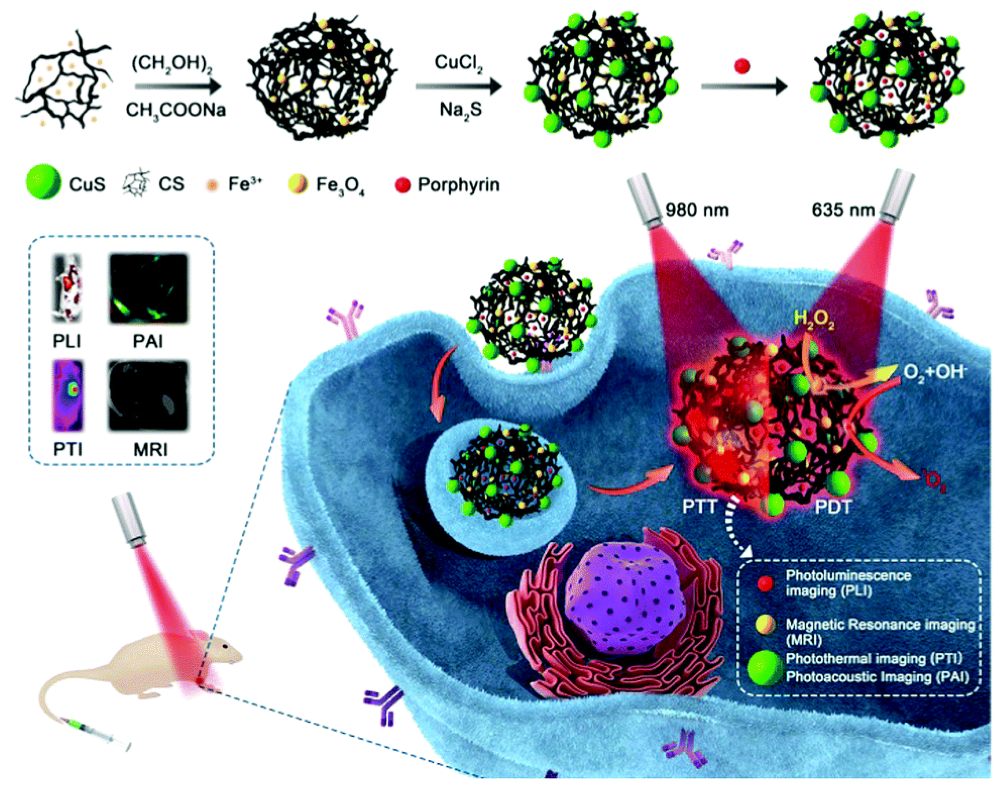 Biomolecules 11 01015 g004