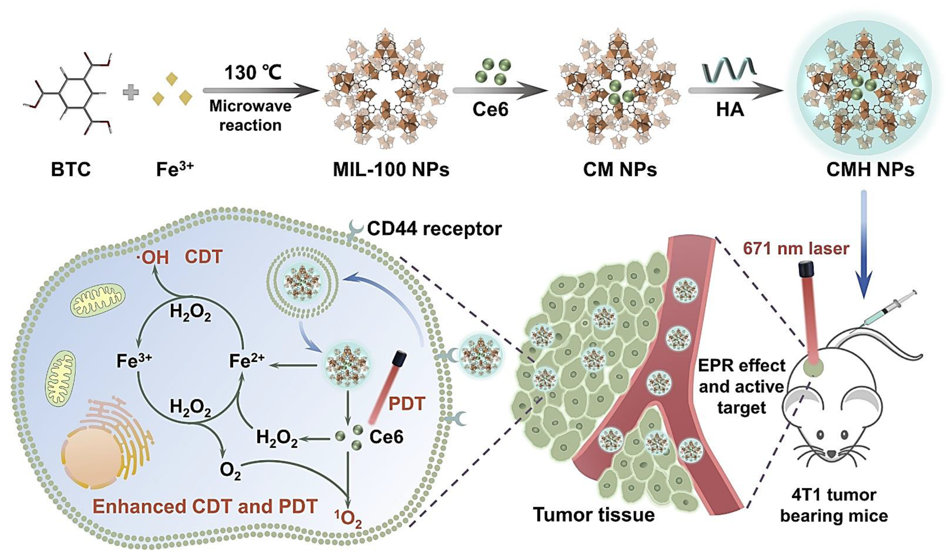 Biomolecules 11 01015 g005
