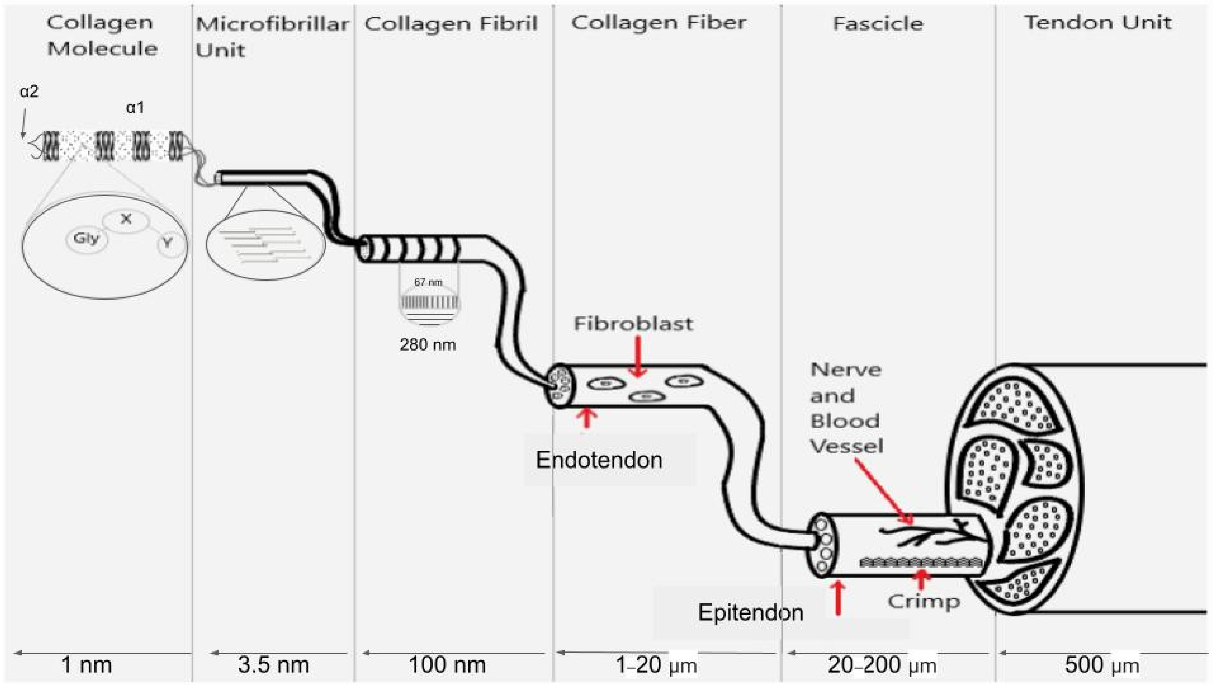 Biomolecules 11 01018 g001 Biomolecules 11 01018 g001
