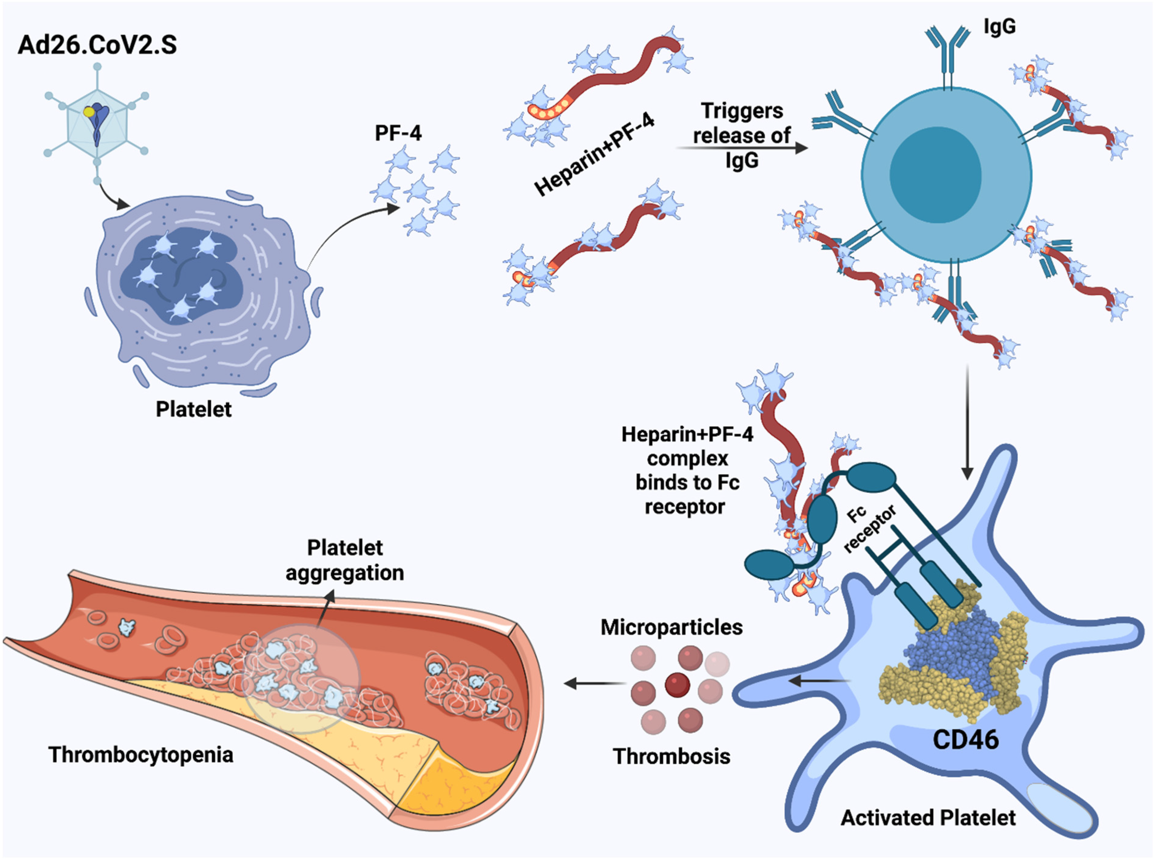 Biomolecules 11 01020 g003 Biomolecules 11 01020 g003