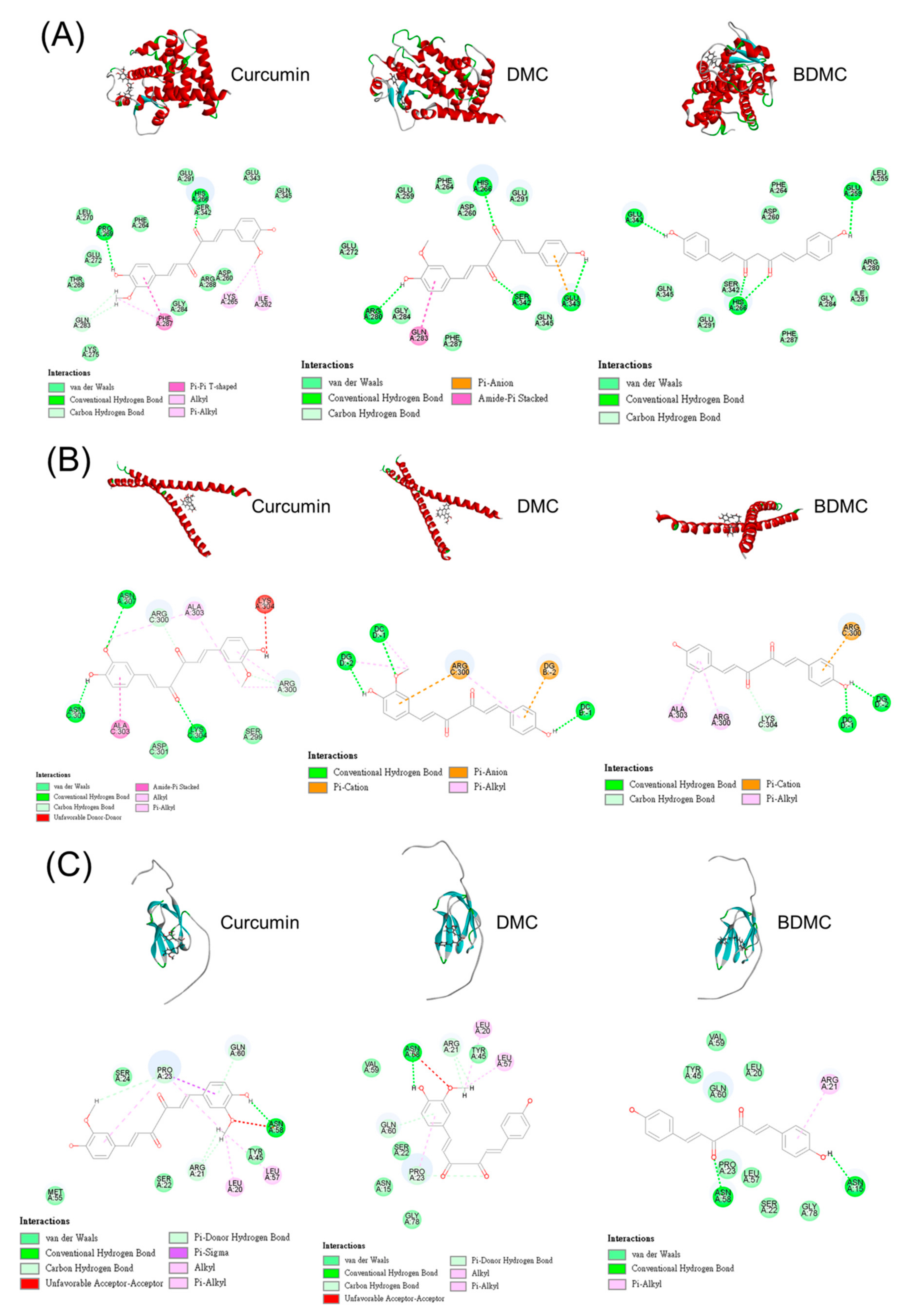 Biomolecules 11 01025 g007