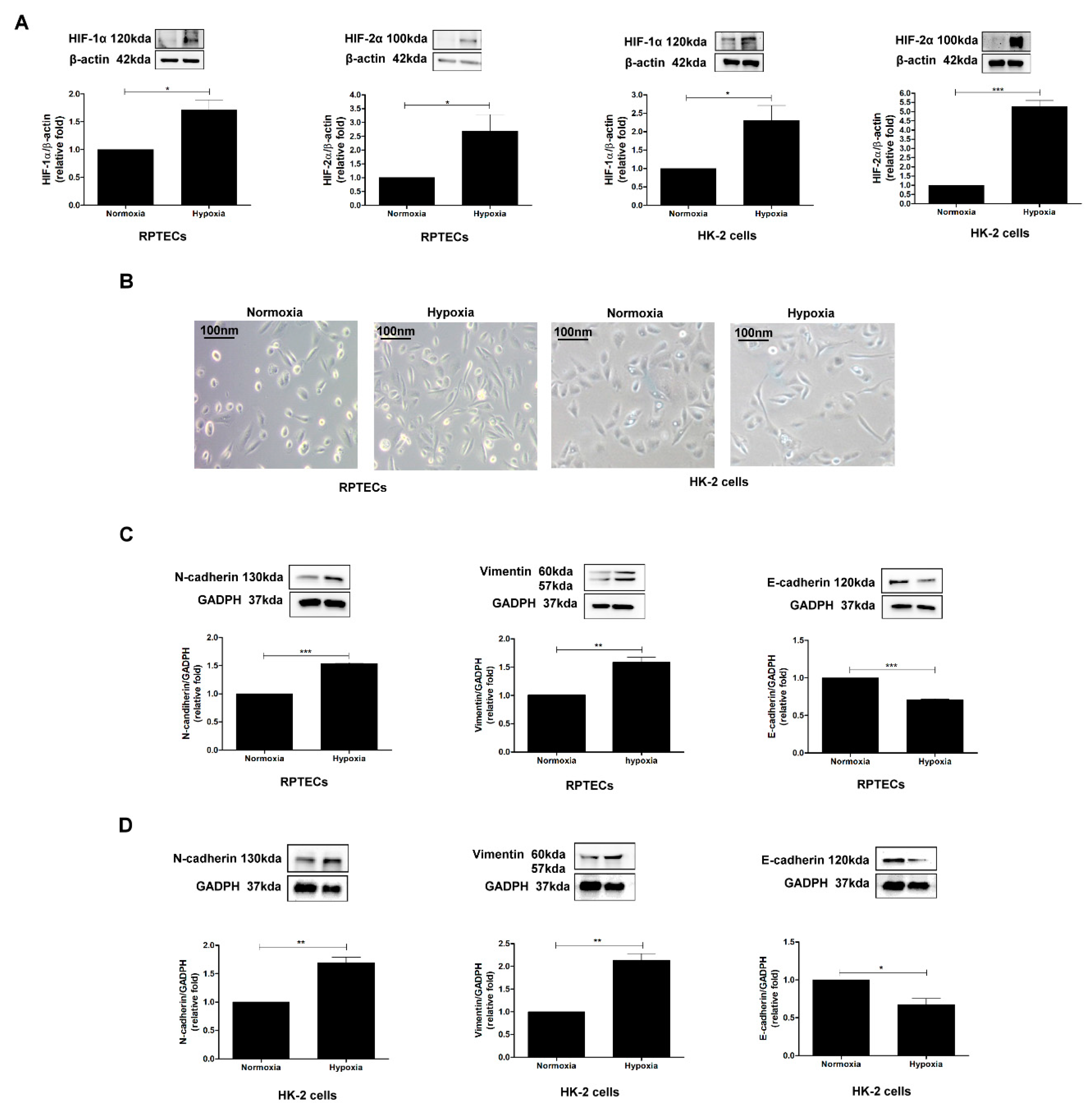 Biomolecules 11 01032 g001 Biomolecules 11 01032 g001