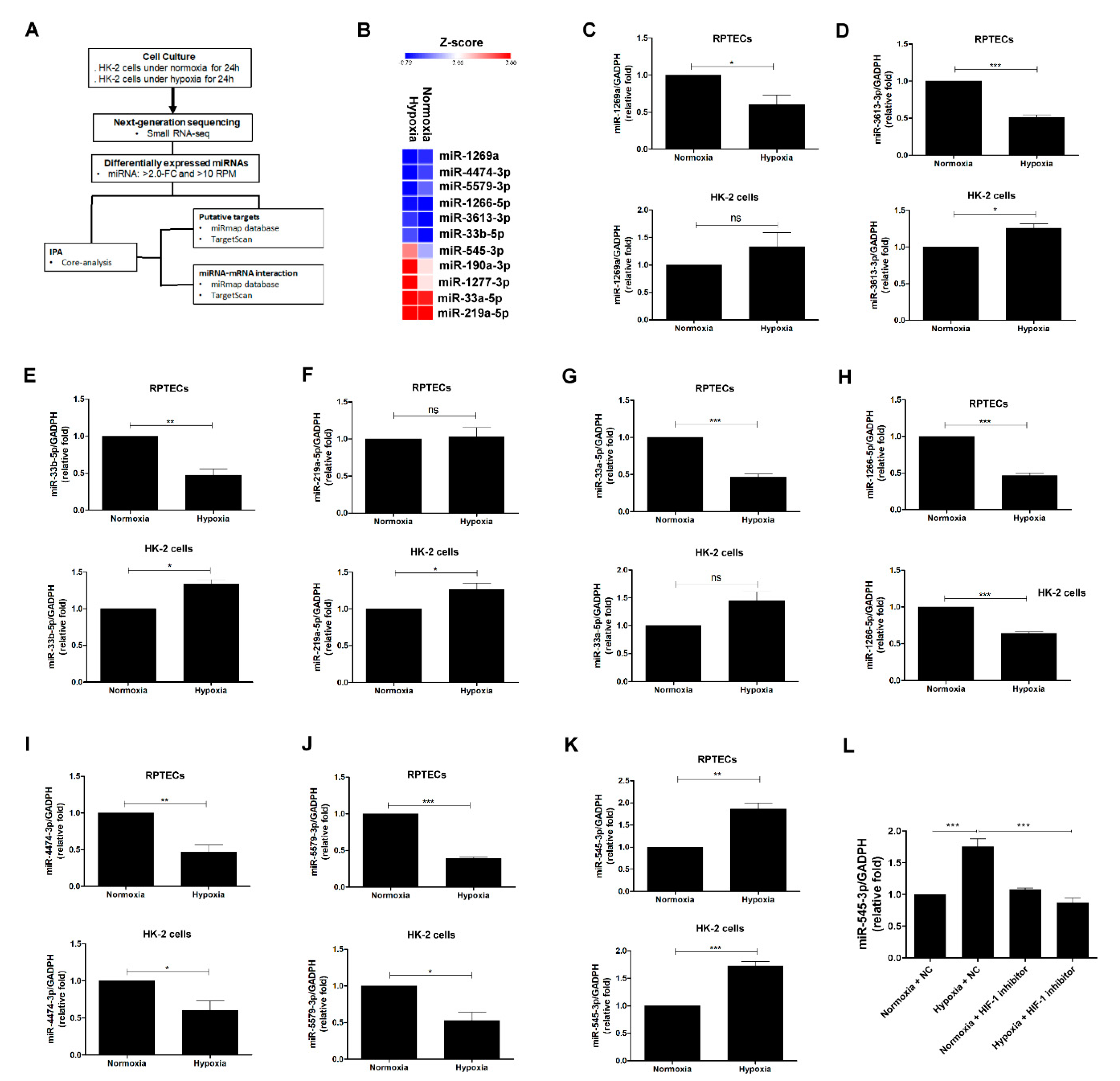 Biomolecules 11 01032 g002 Biomolecules 11 01032 g002