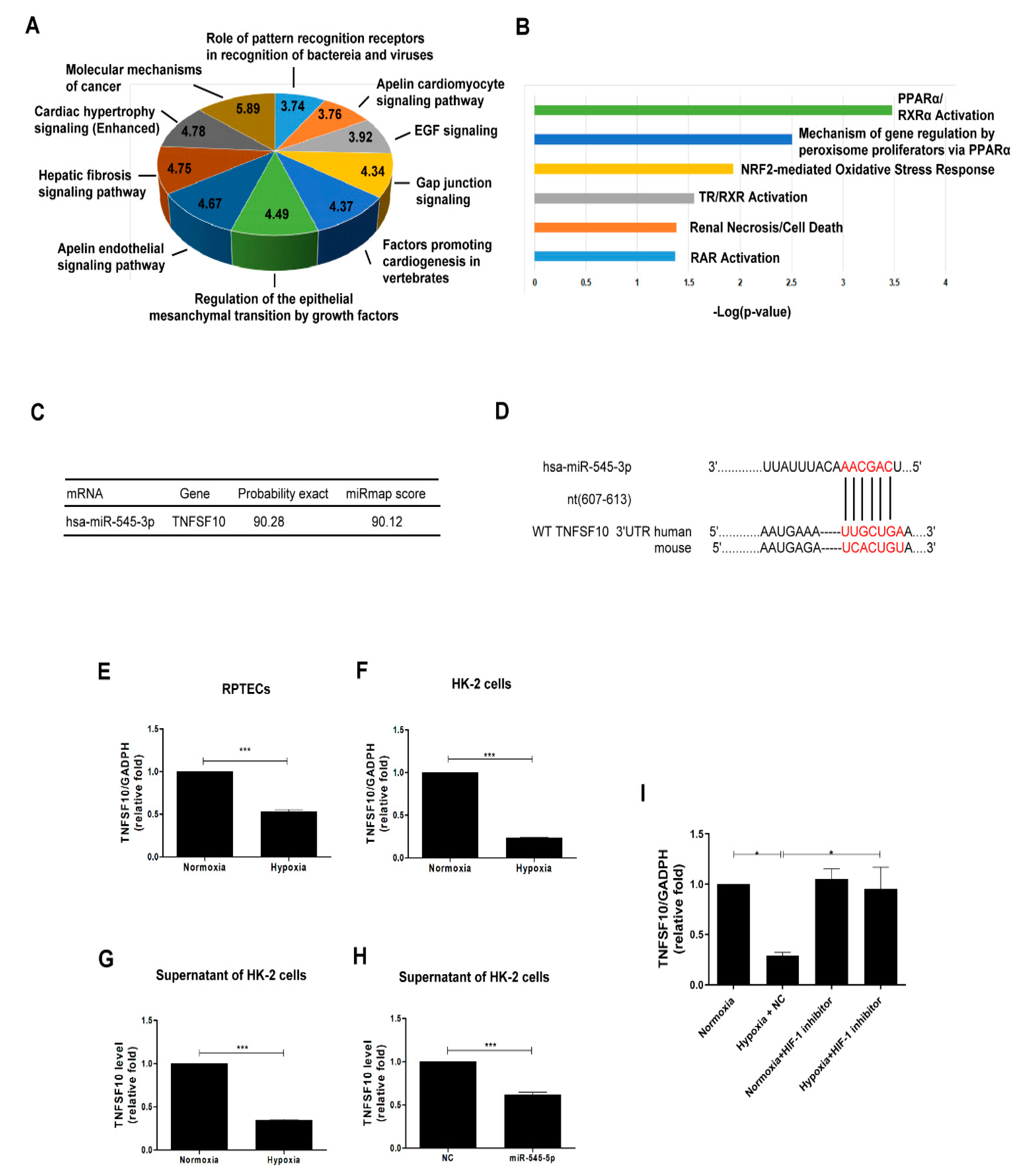 Biomolecules 11 01032 g003 Biomolecules 11 01032 g003
