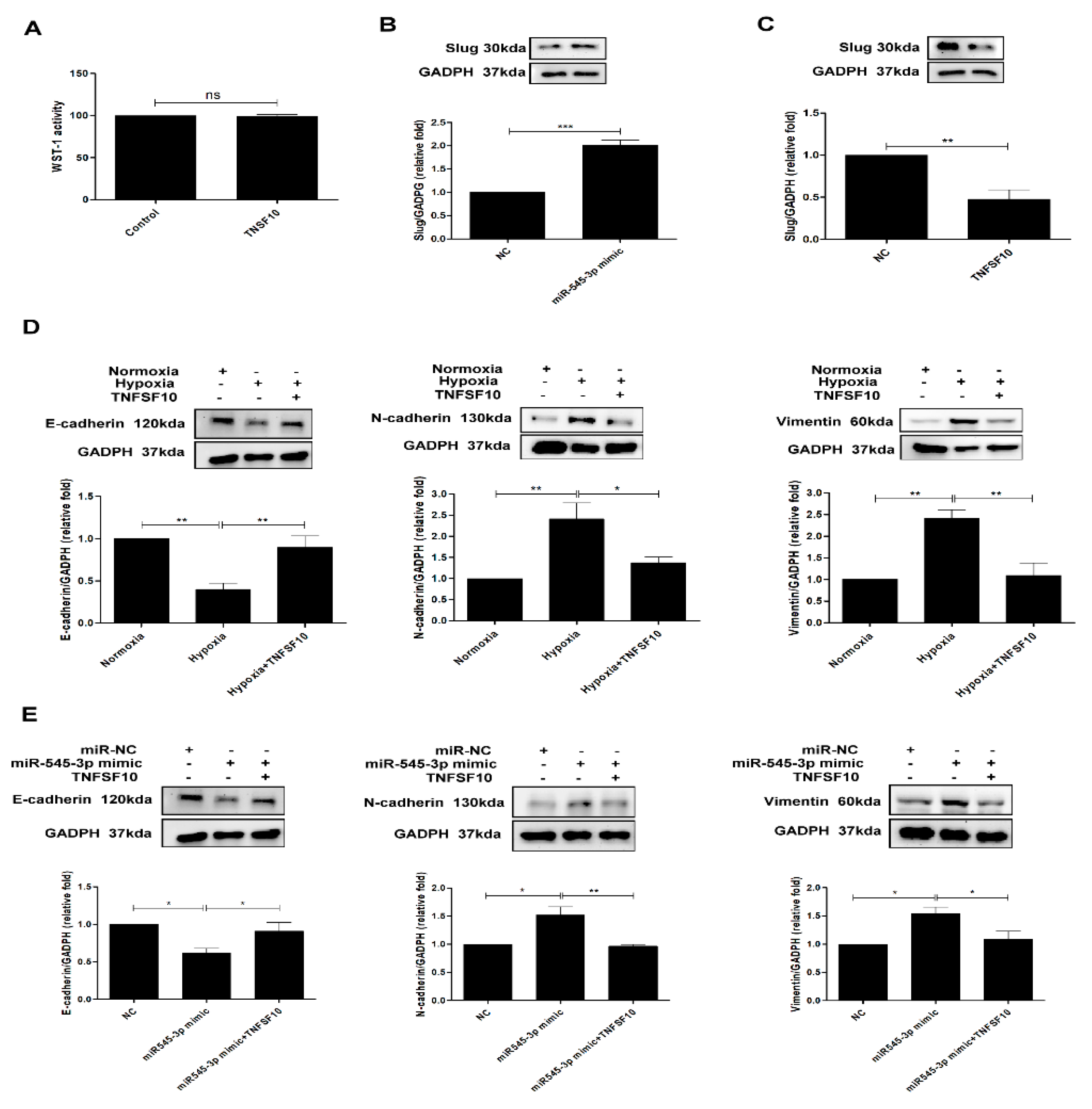 Biomolecules 11 01032 g004 Biomolecules 11 01032 g004