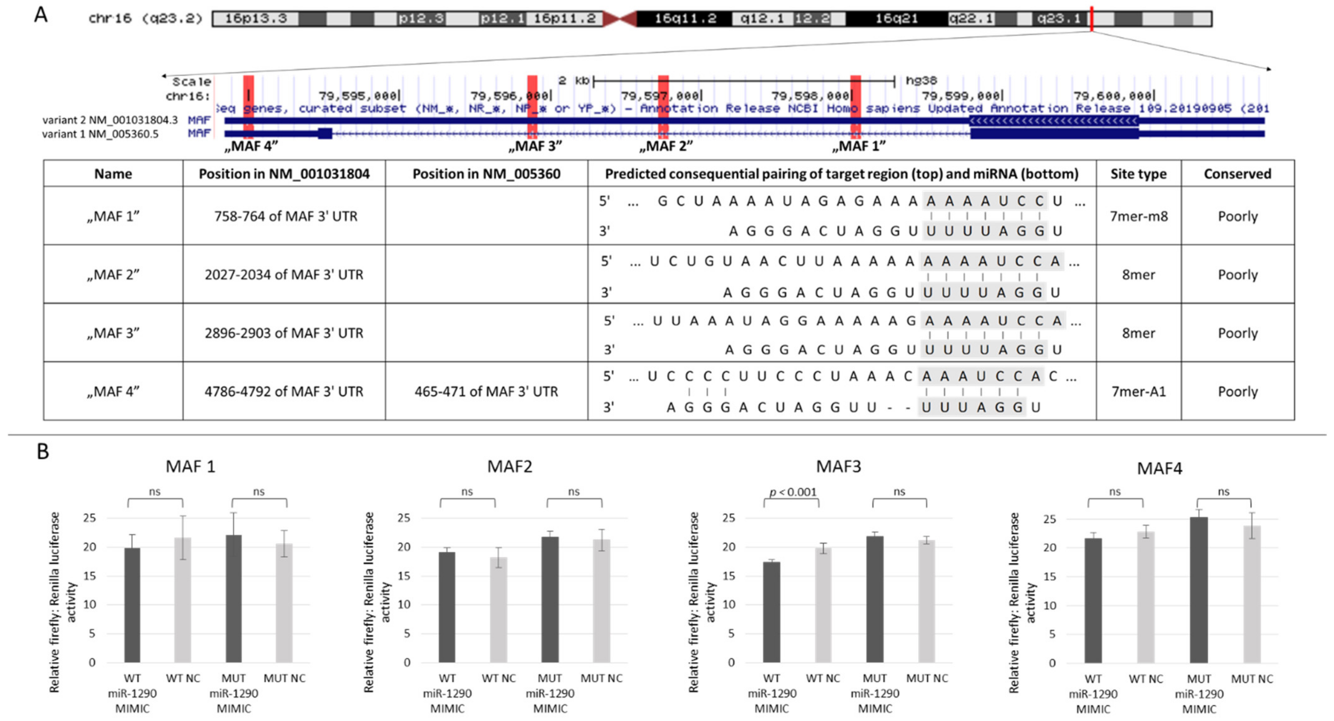 Biomolecules 11 01035 g001