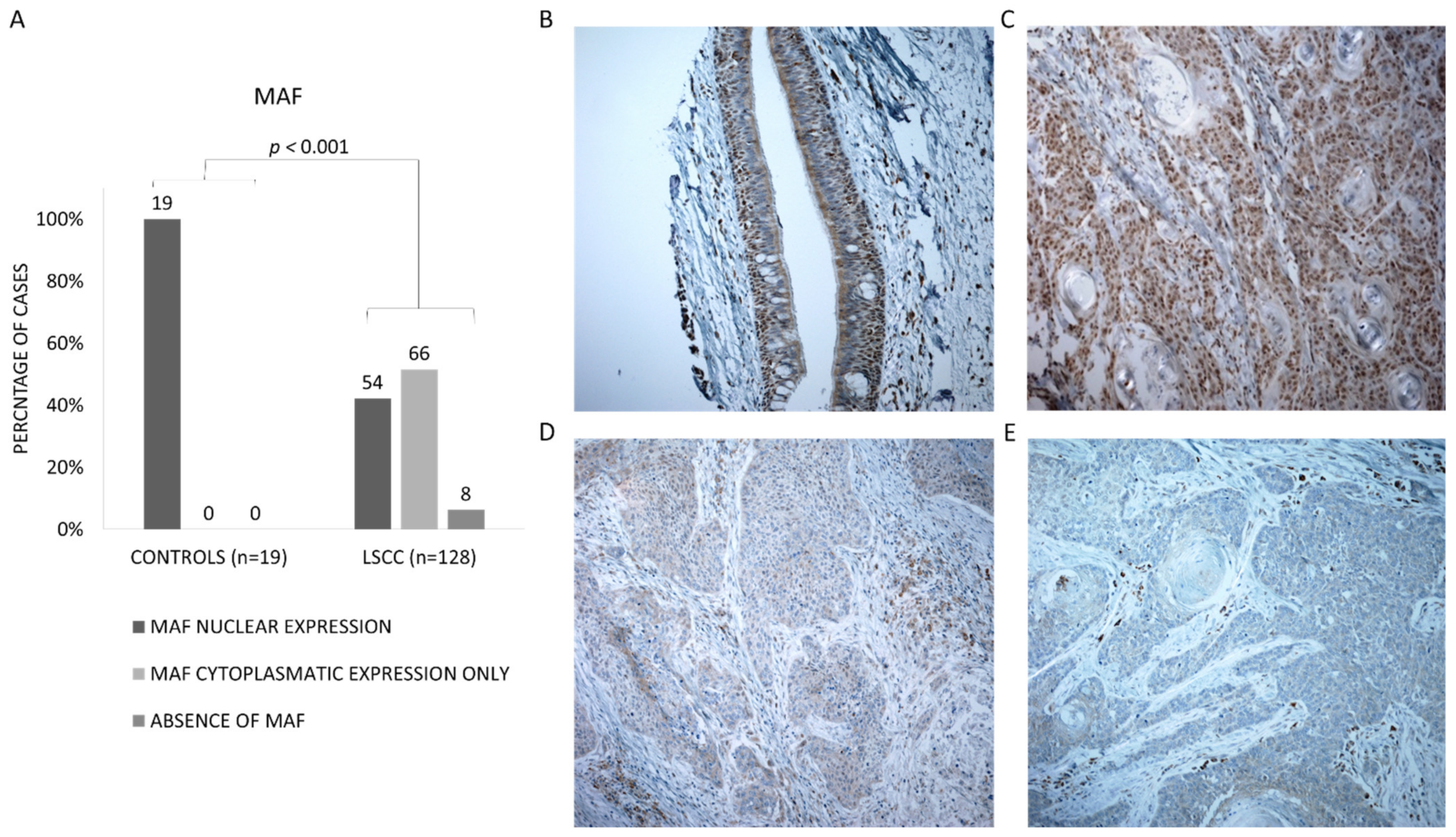 Biomolecules 11 01035 g002