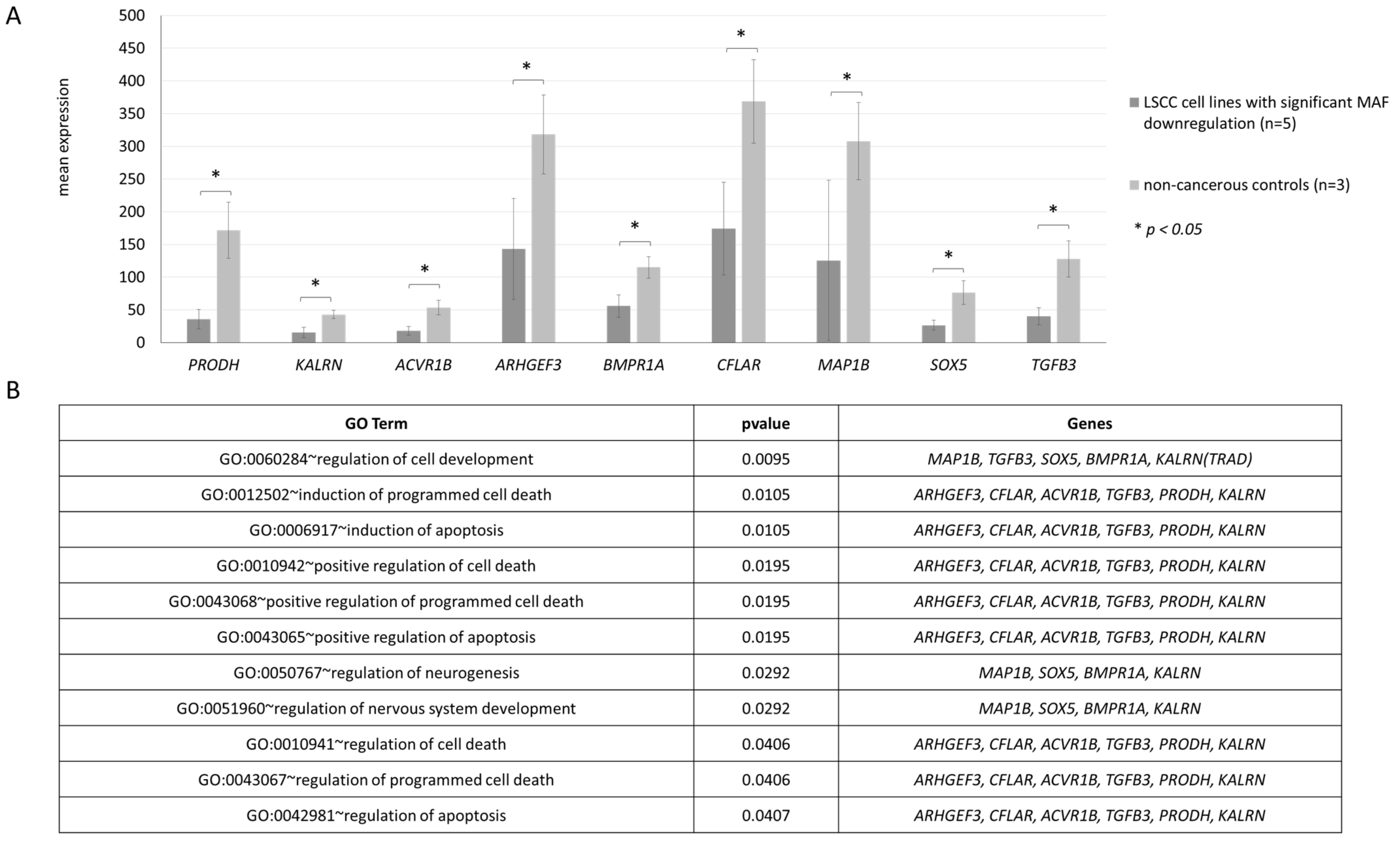 Biomolecules 11 01035 g003