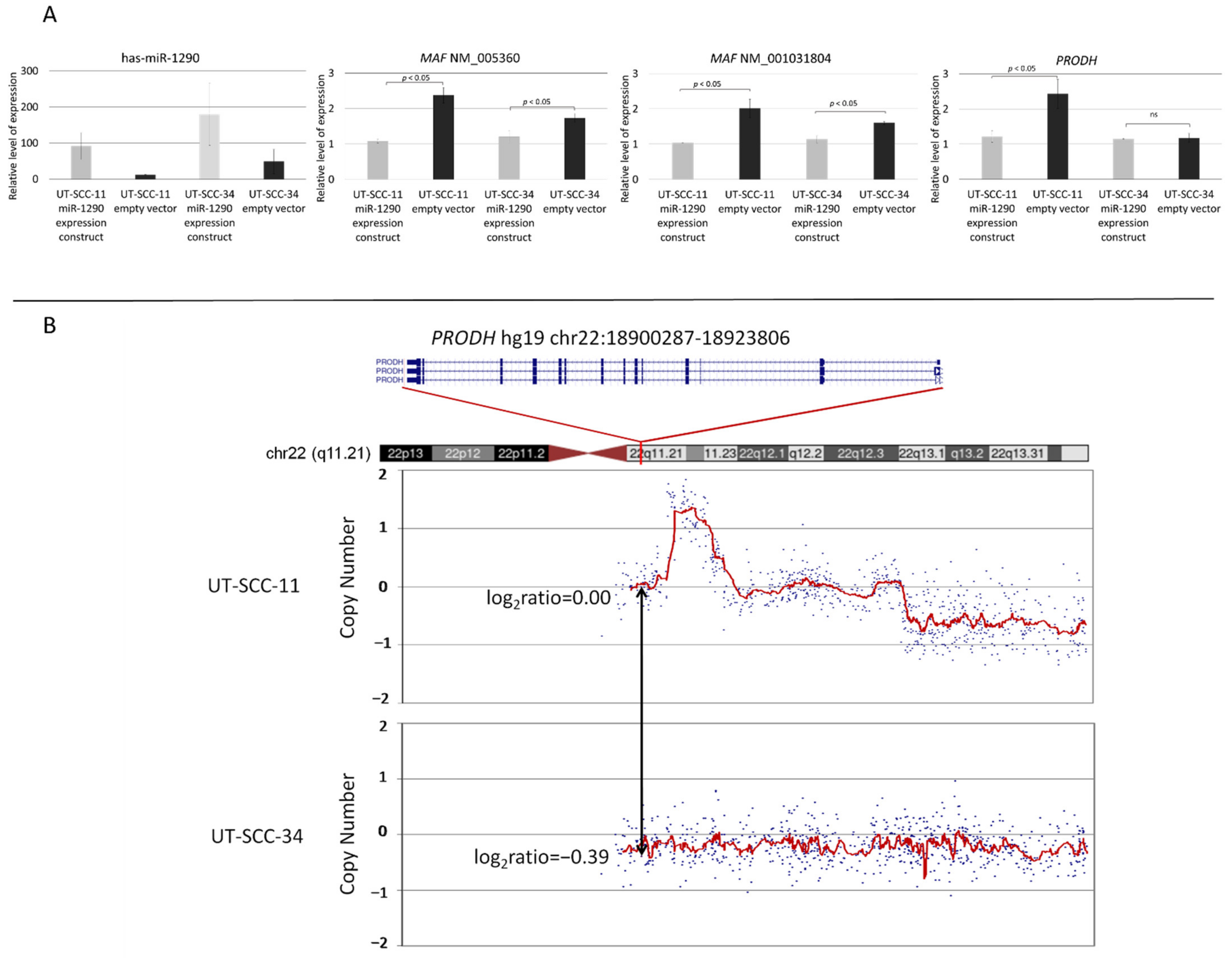 Biomolecules 11 01035 g004