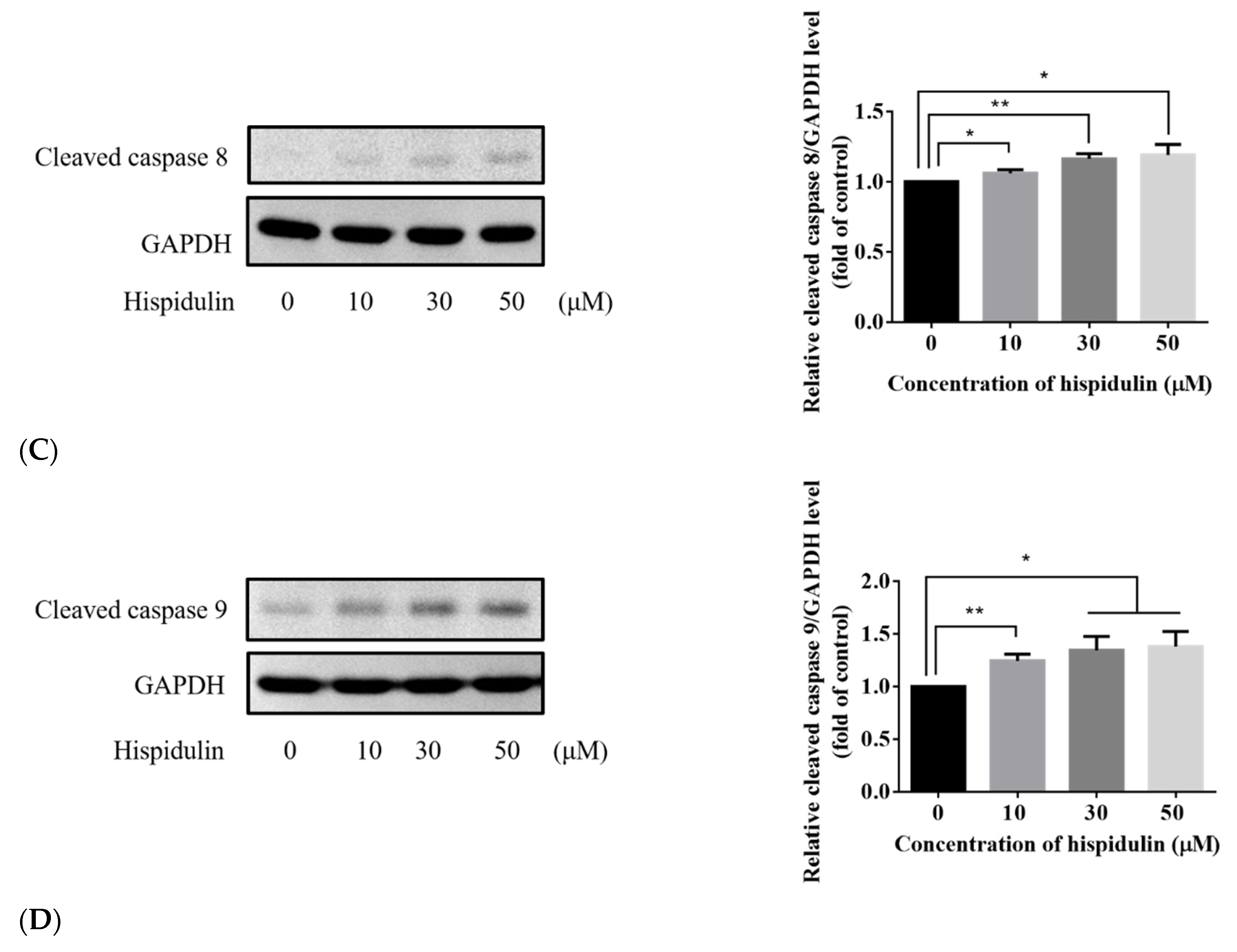 Biomolecules 11 01039 g004b