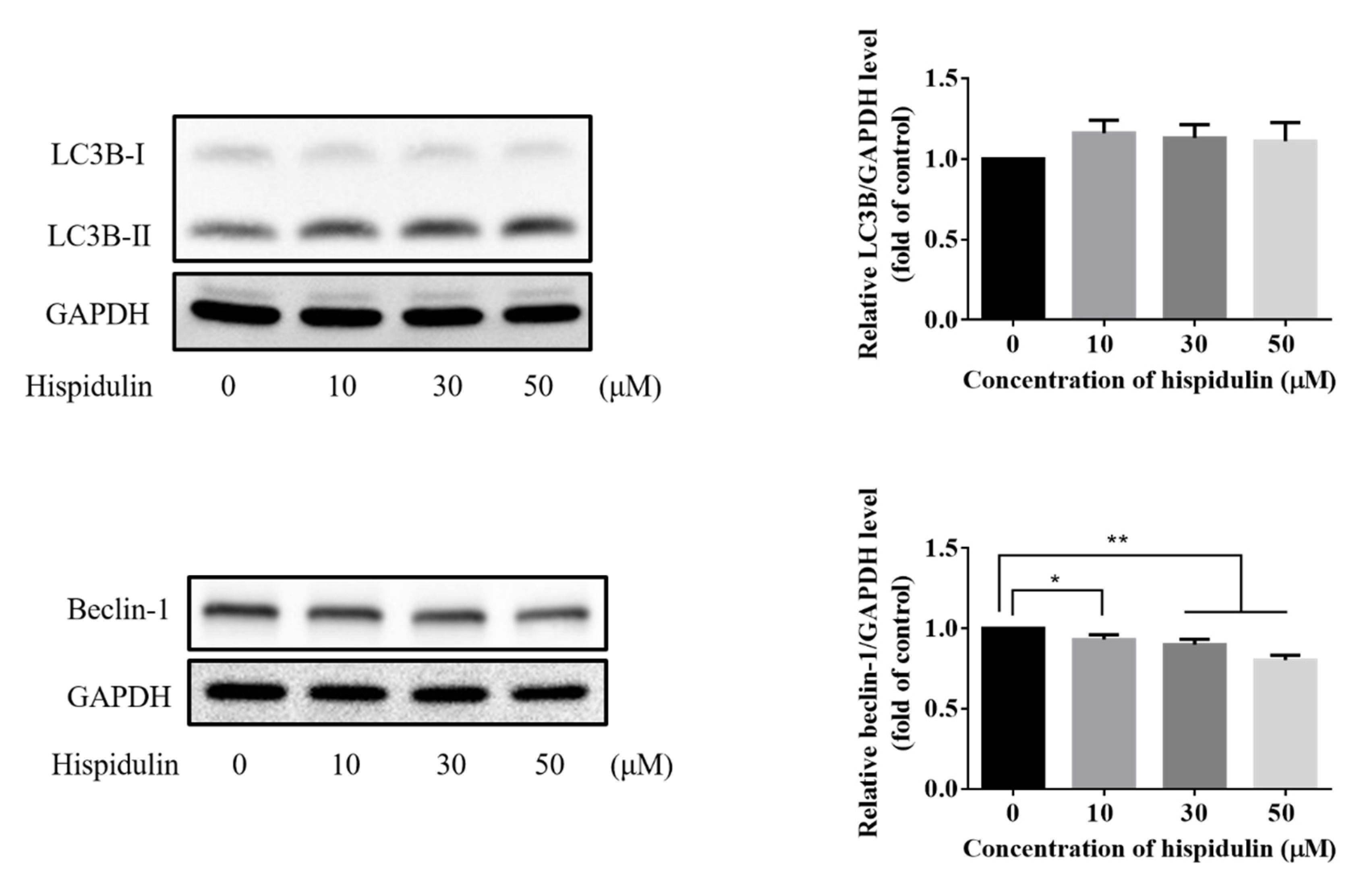 Biomolecules 11 01039 g005a