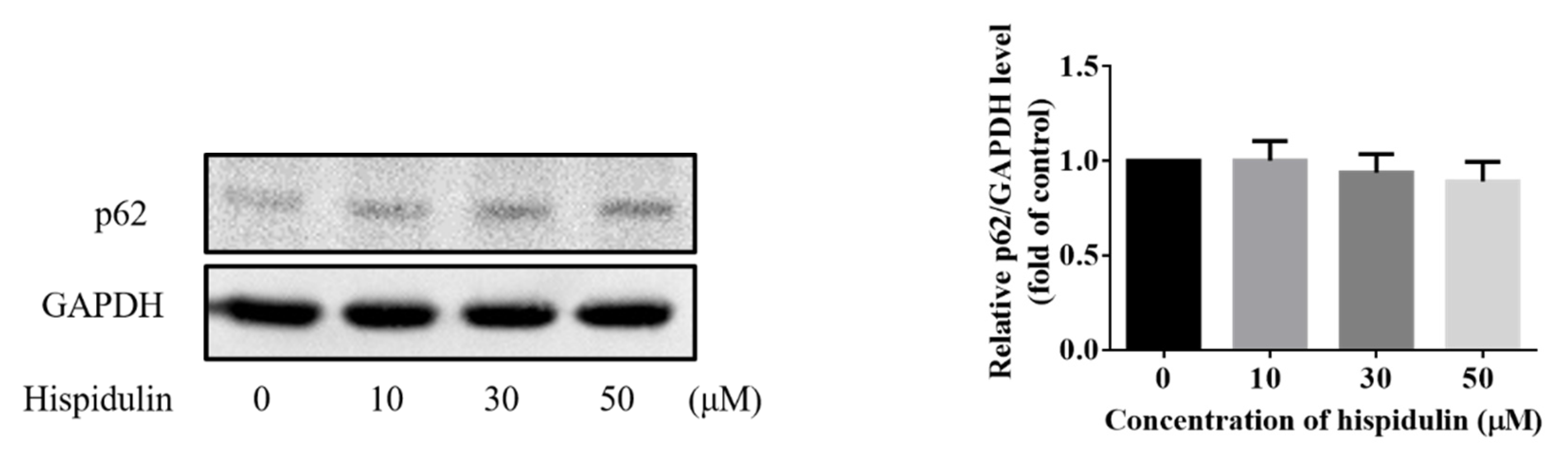 Biomolecules 11 01039 g005b