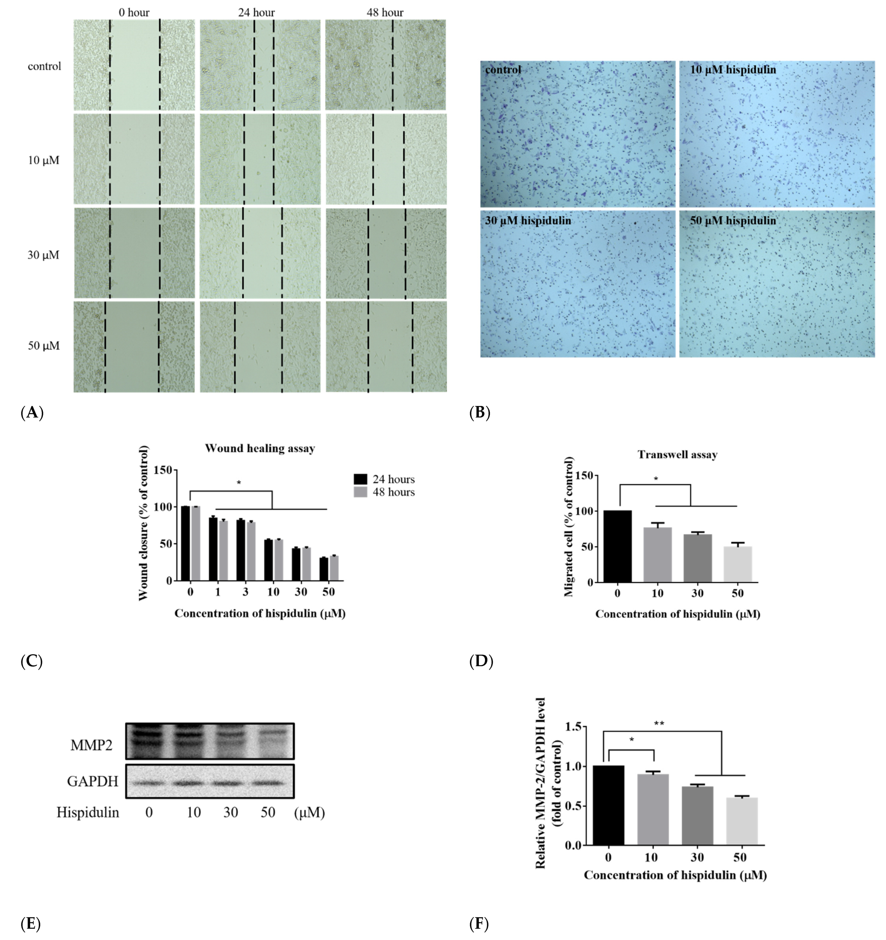 Biomolecules 11 01039 g008