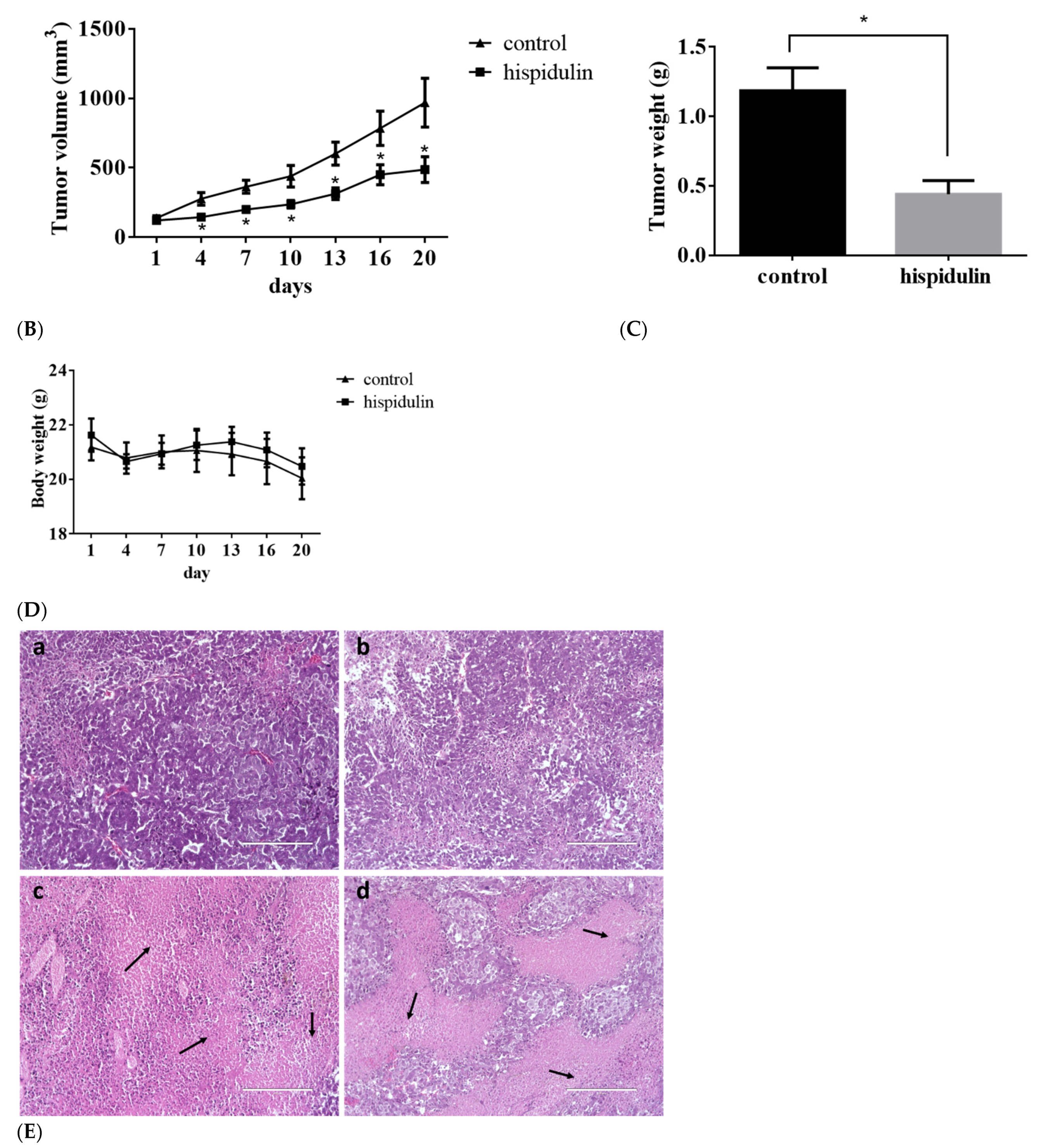Biomolecules 11 01039 g009b
