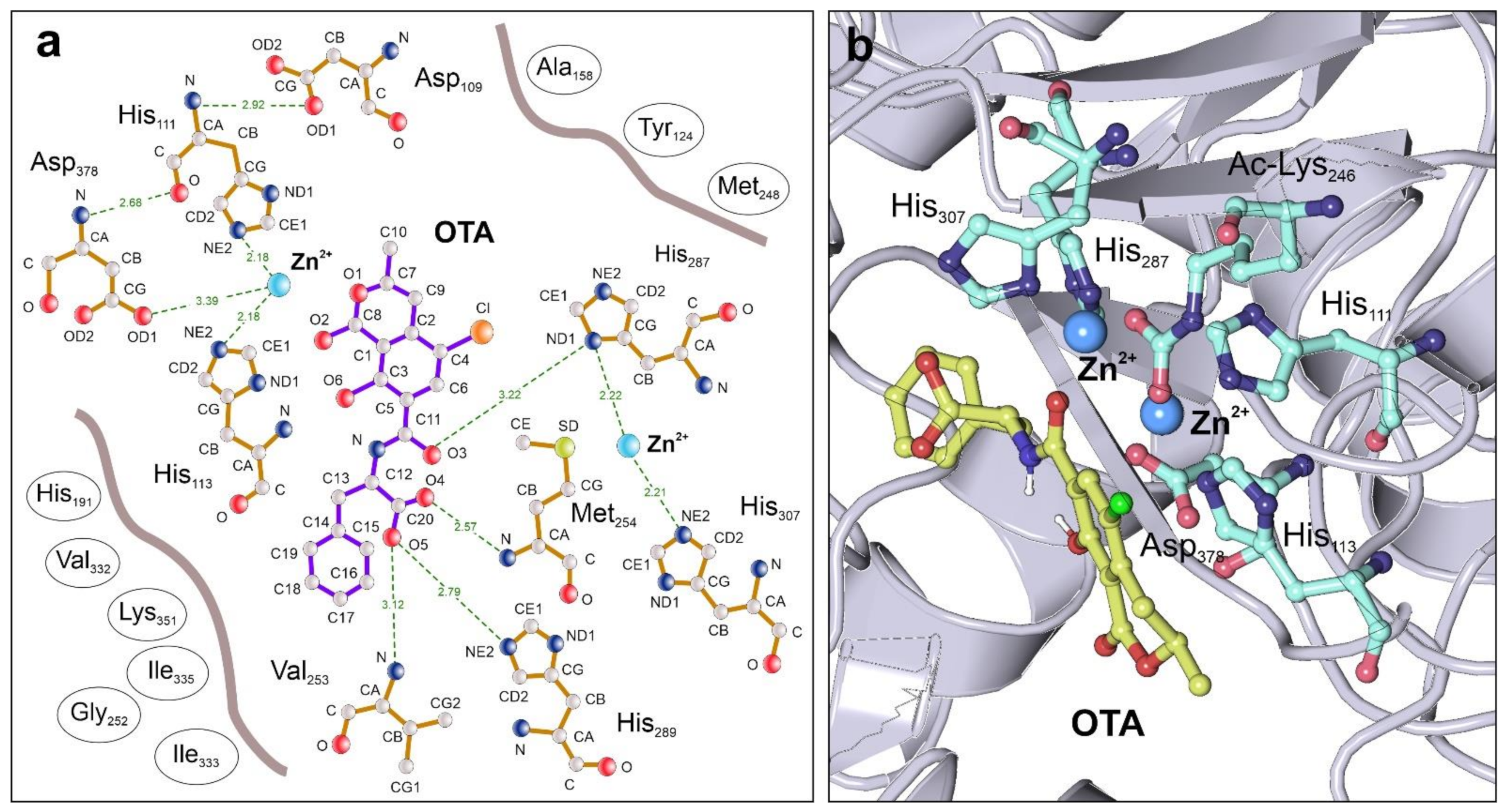 Biomolecules 11 01040 g002 Biomolecules 11 01040 g002