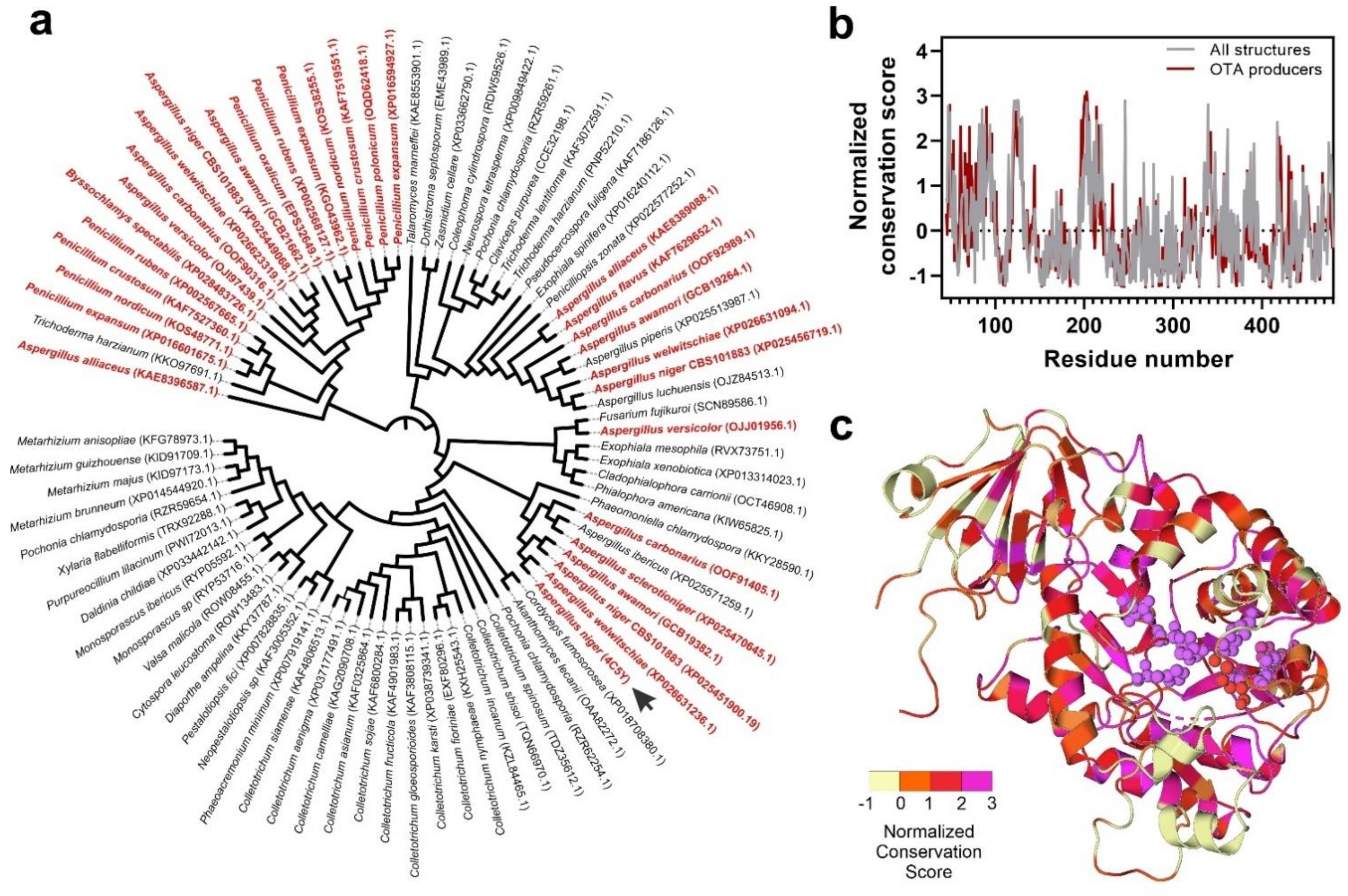 Biomolecules 11 01040 g004 Biomolecules 11 01040 g004