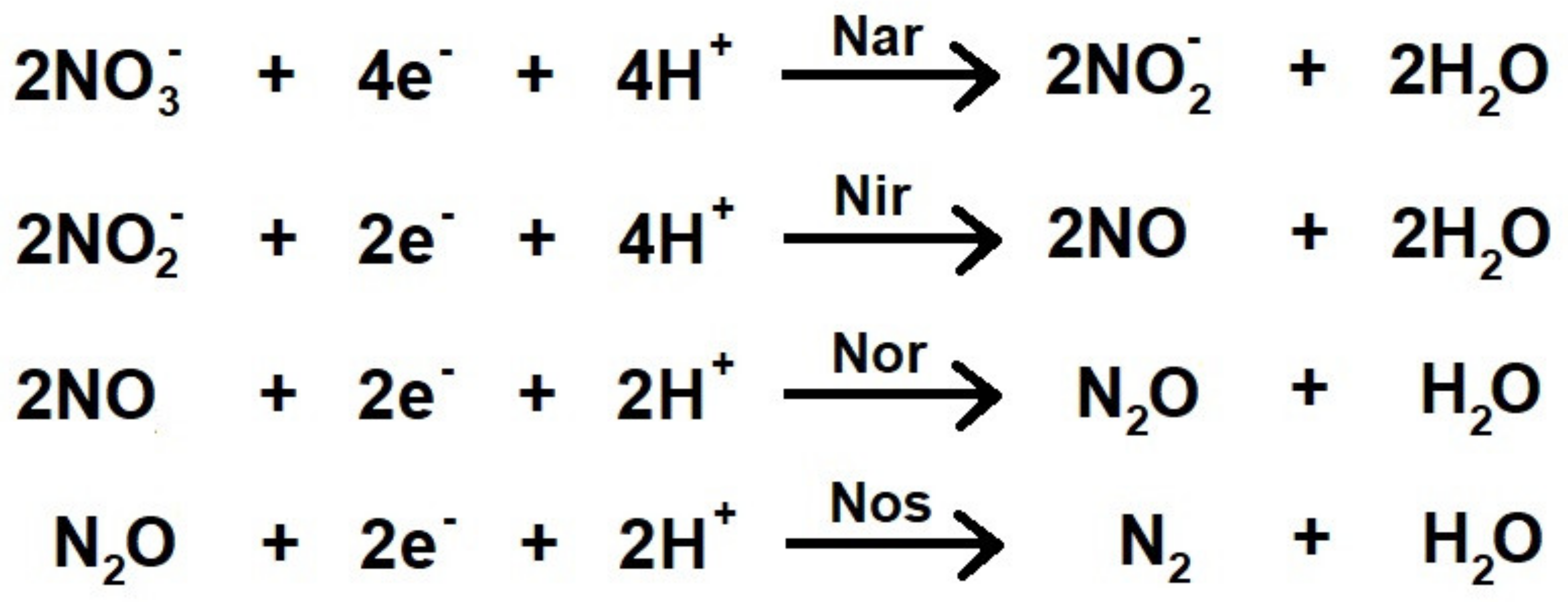 Biomolecules 11 01043 g001