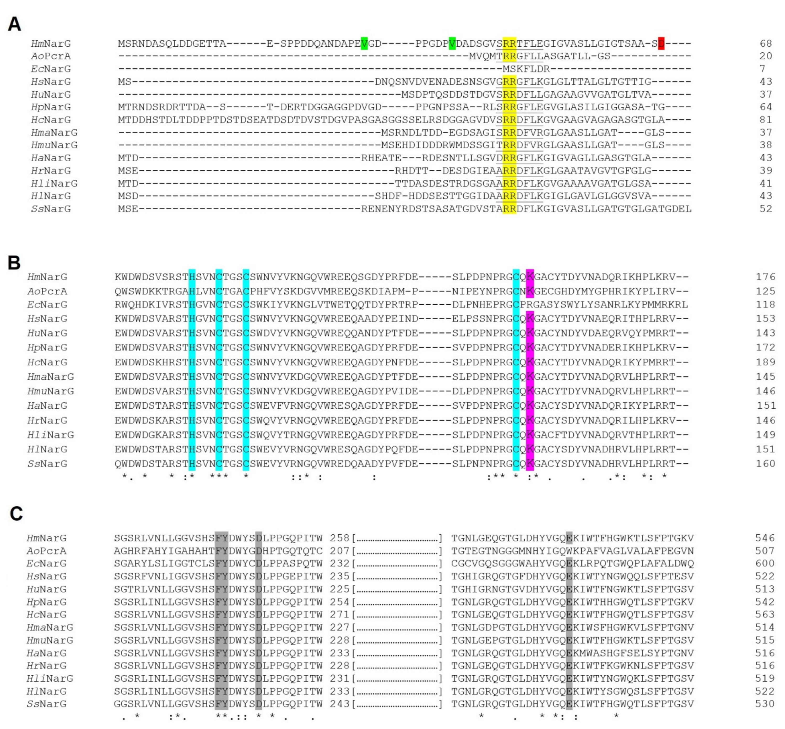Biomolecules 11 01043 g002
