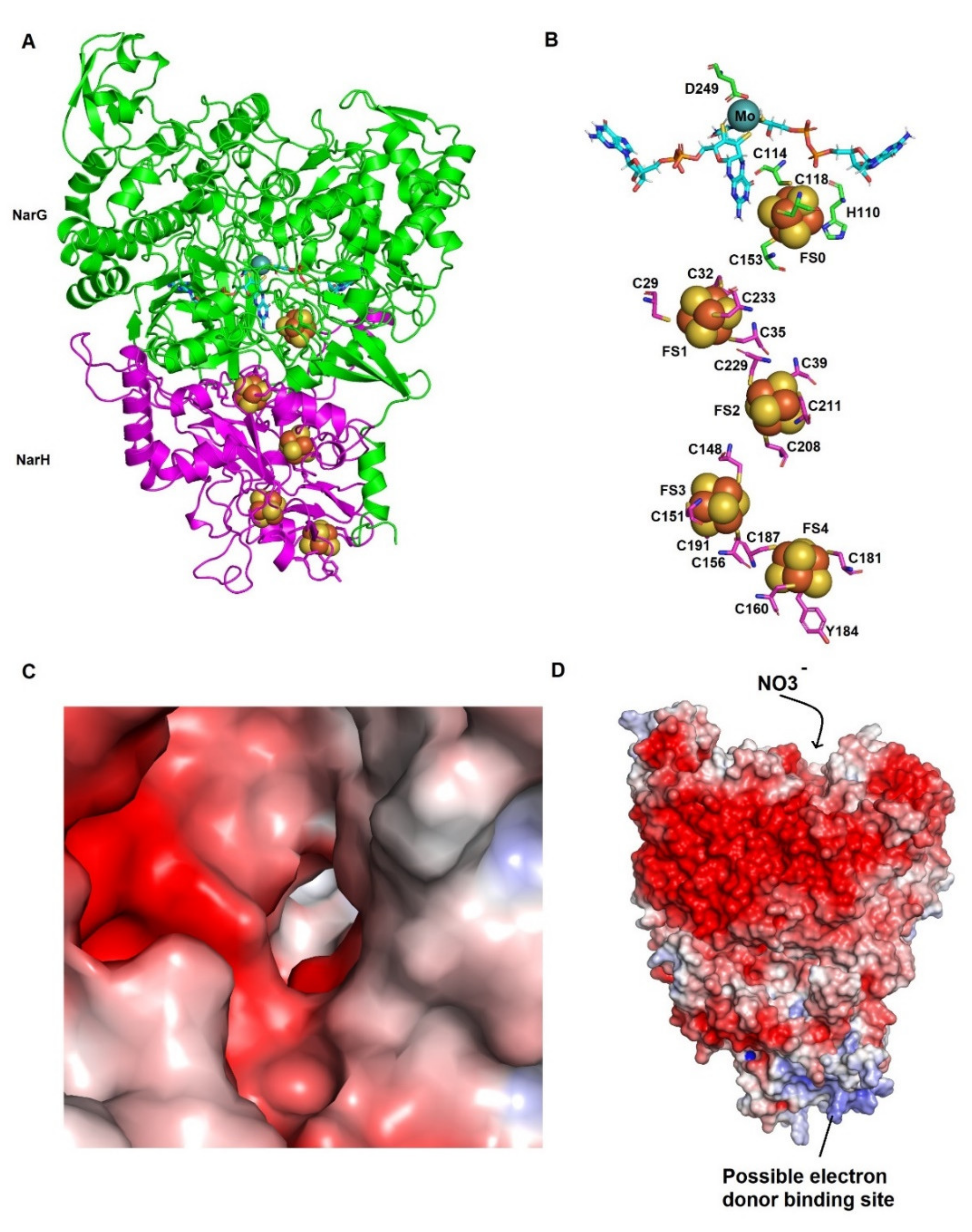 Biomolecules 11 01043 g003