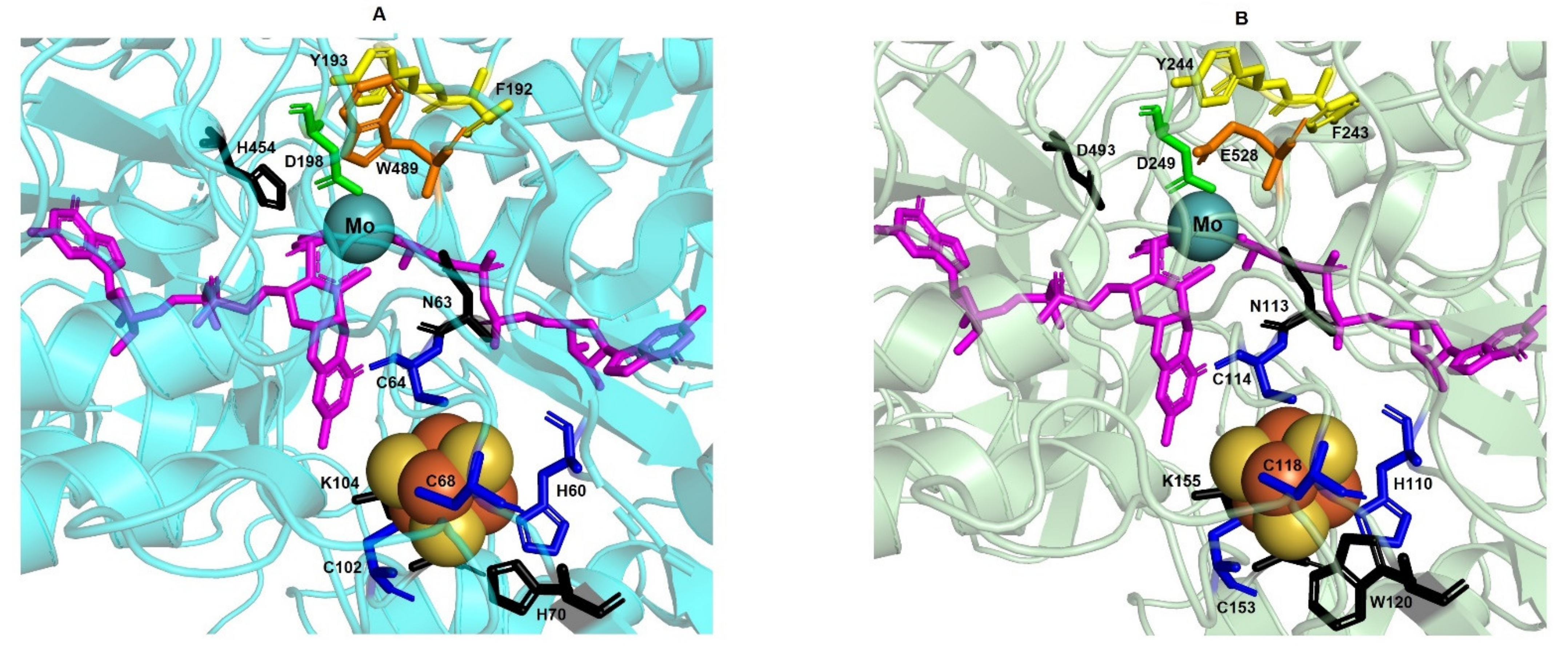 Biomolecules 11 01043 g004