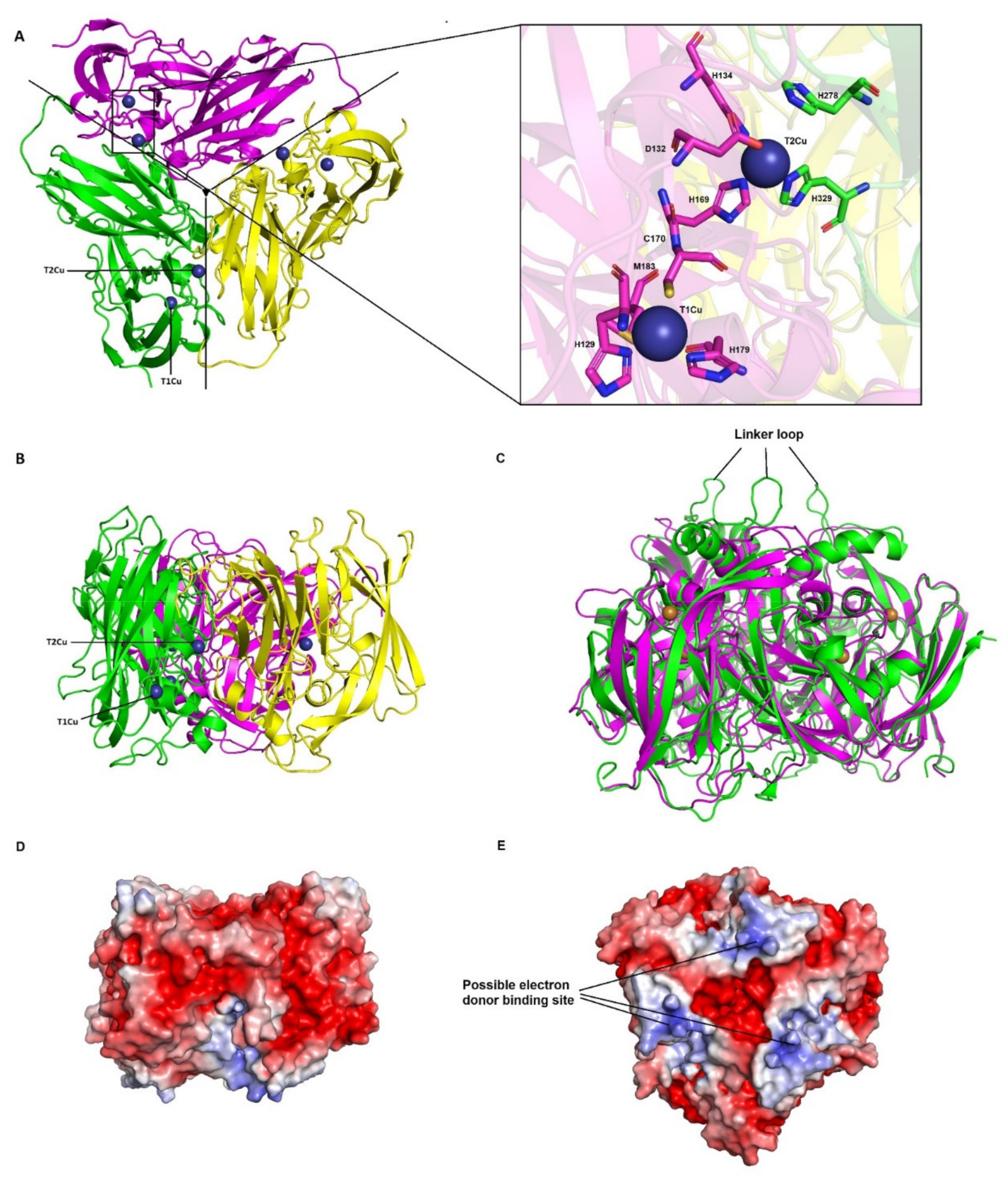 Biomolecules 11 01043 g006
