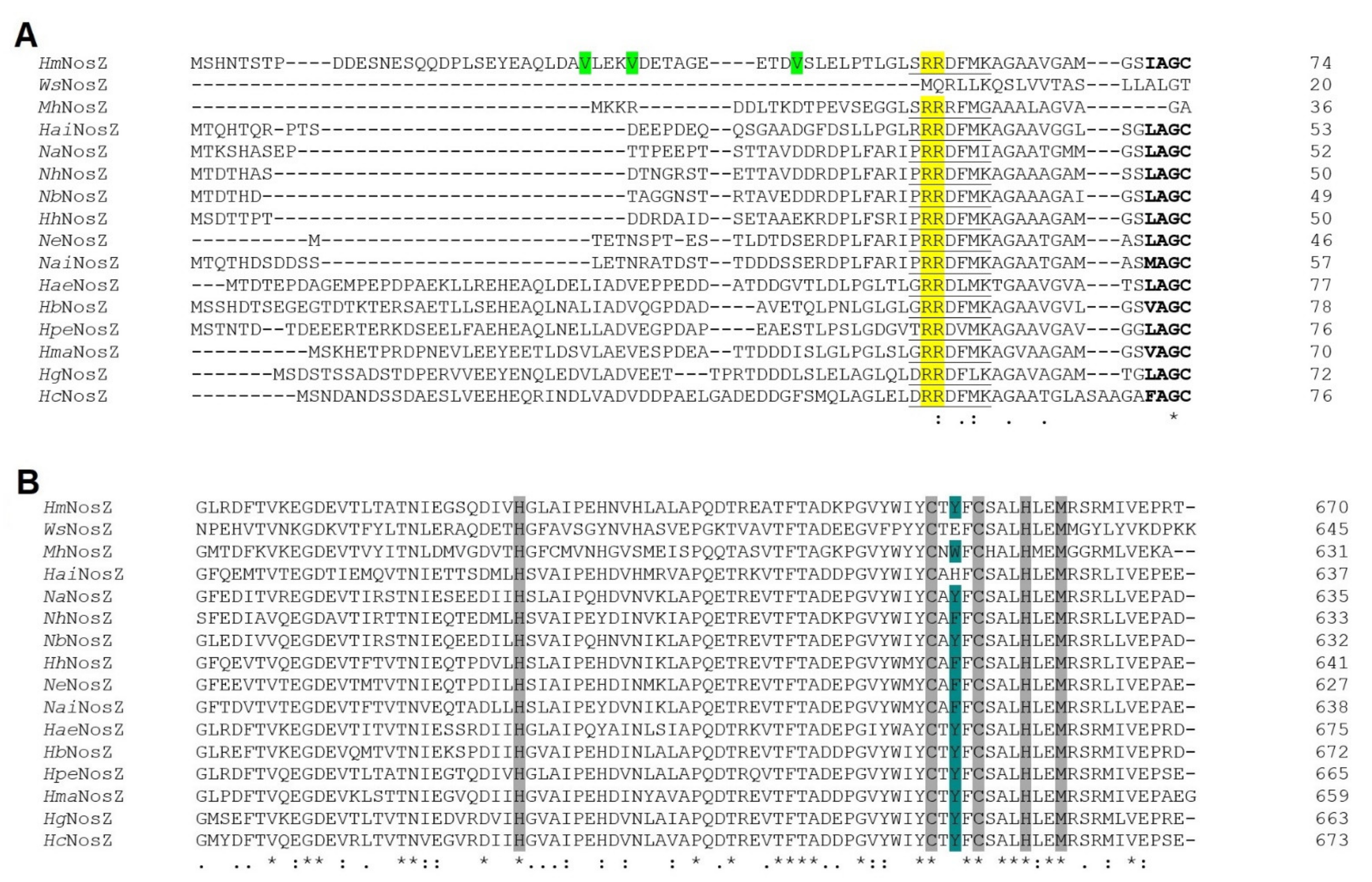 Biomolecules 11 01043 g007