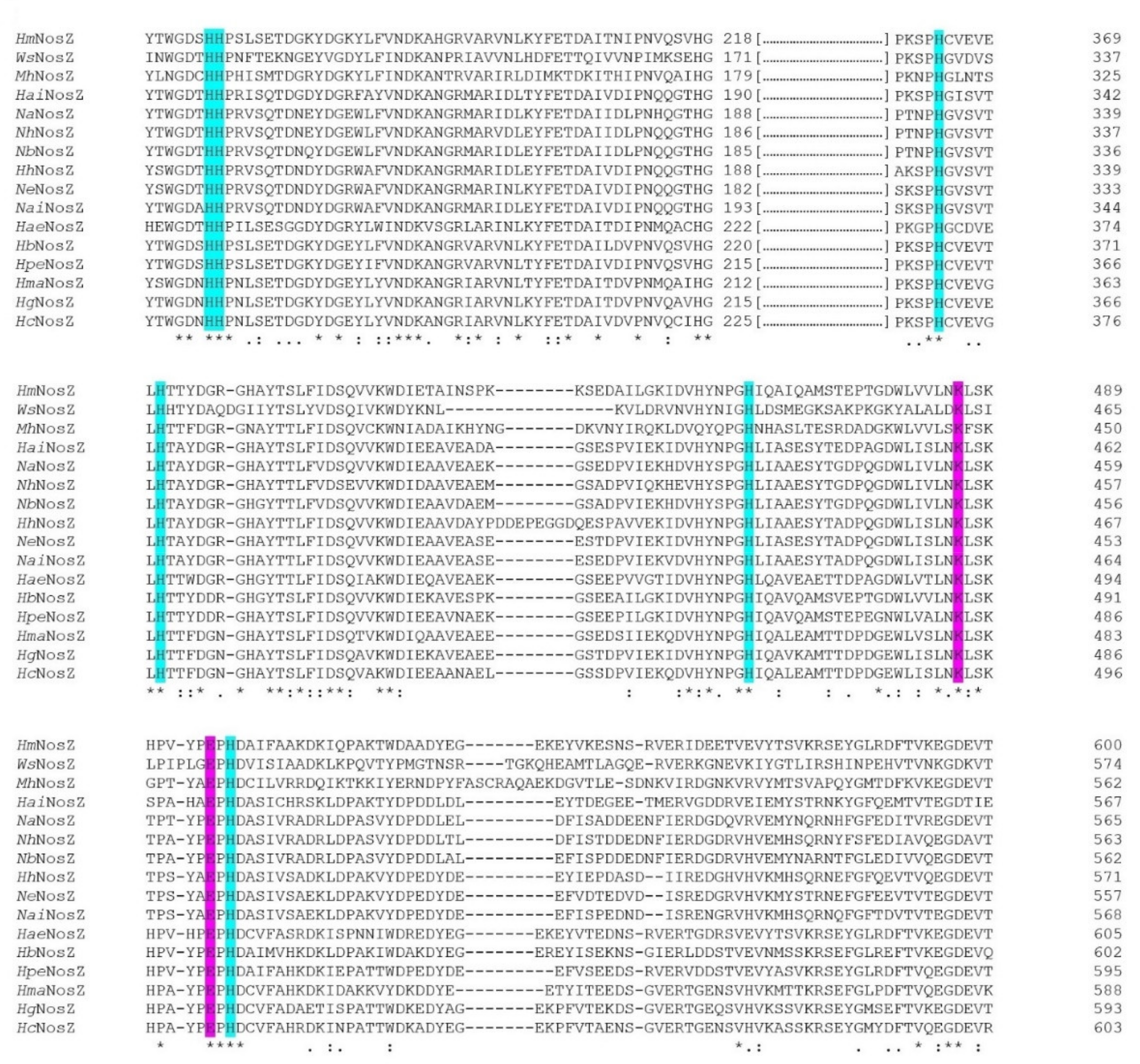 Biomolecules 11 01043 g009