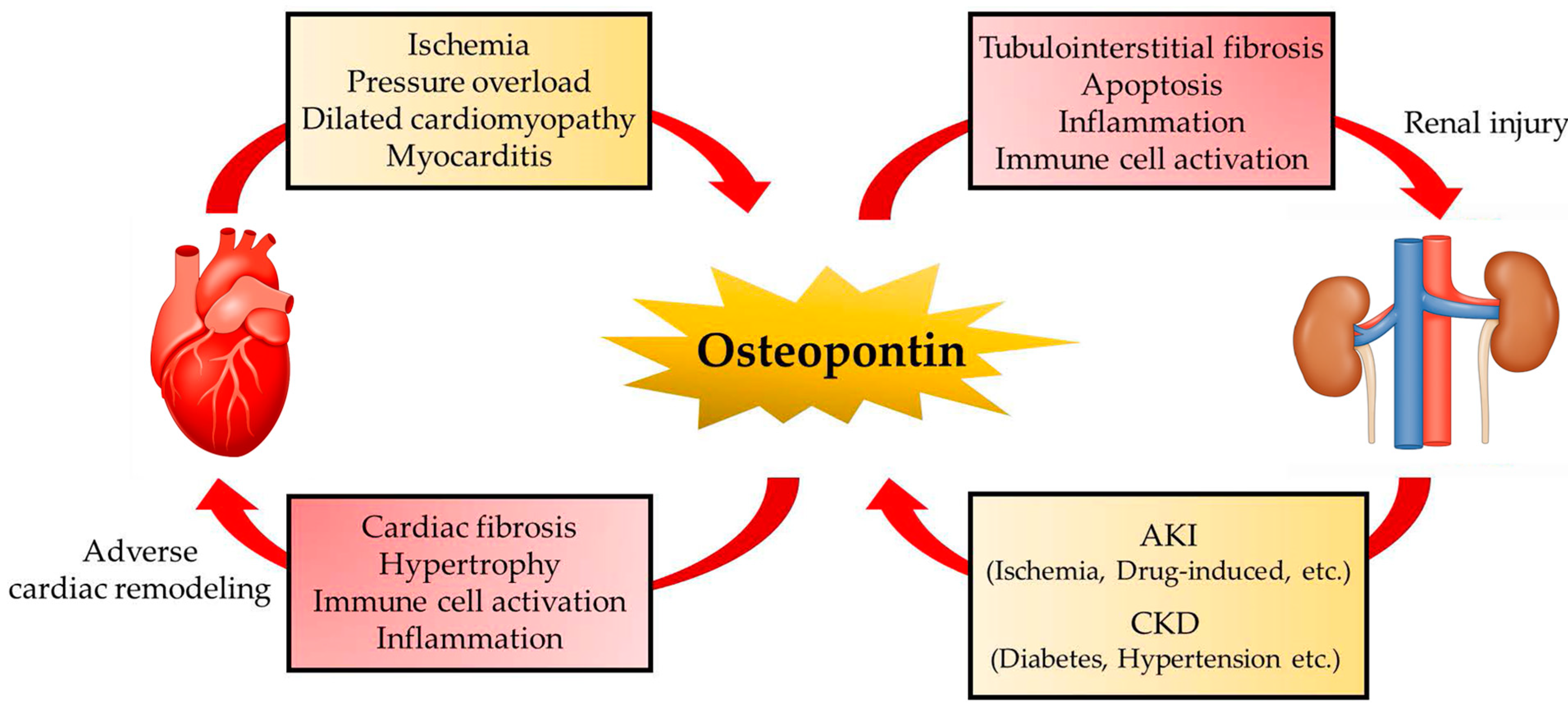 Biomolecules 11 01047 g002