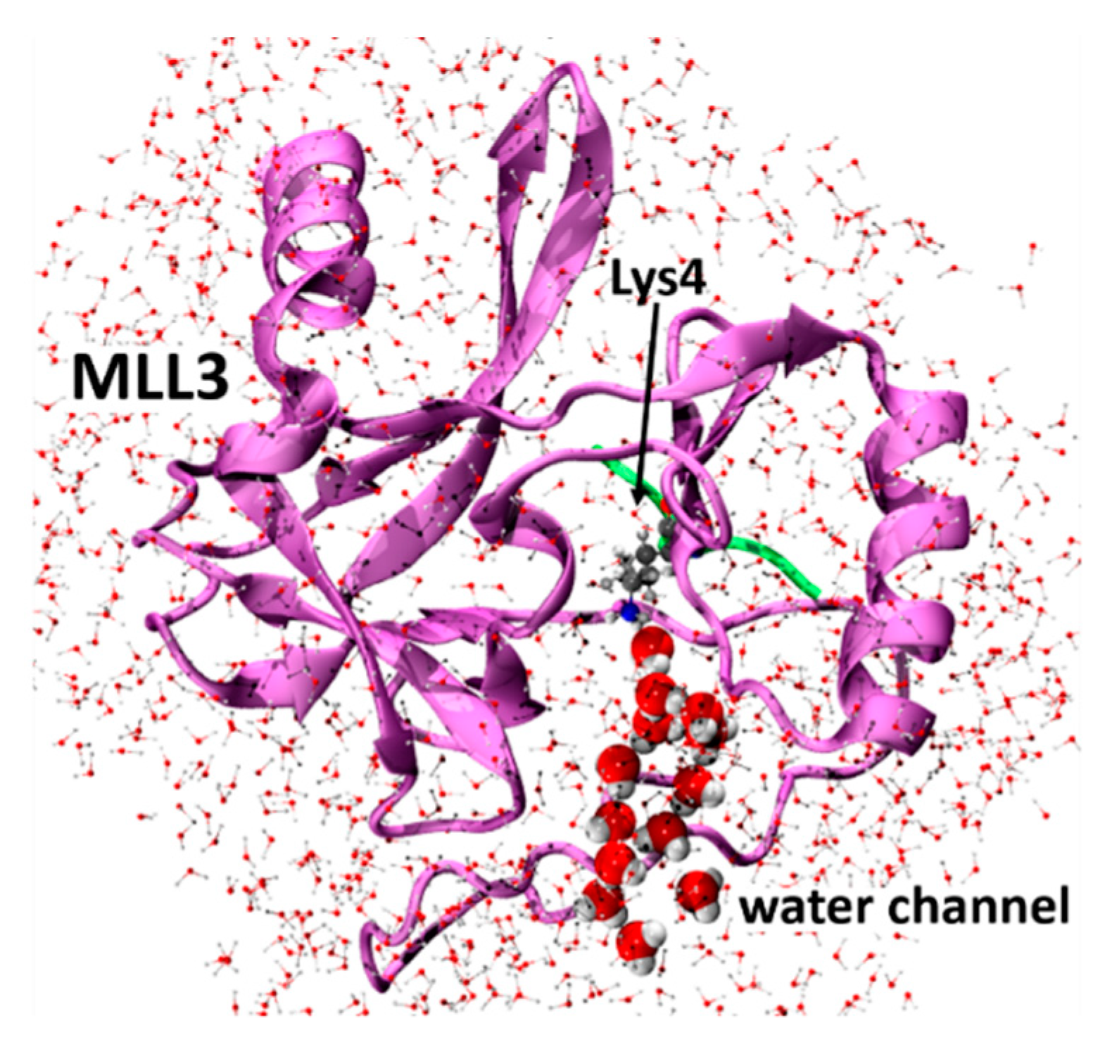 Biomolecules 11 01051 g001