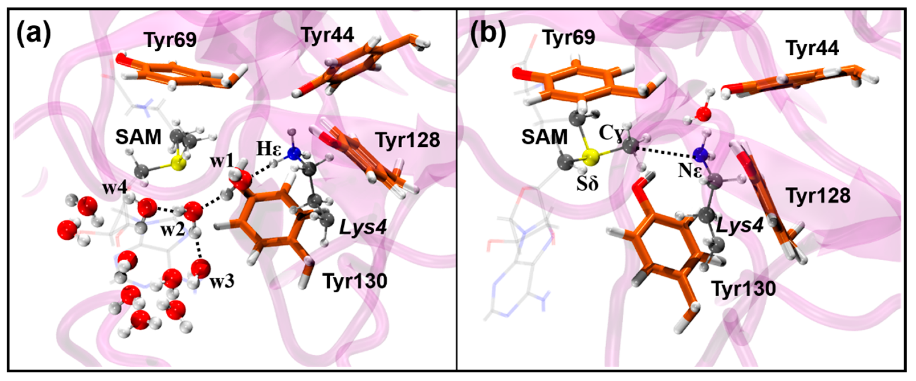 Biomolecules 11 01051 g002