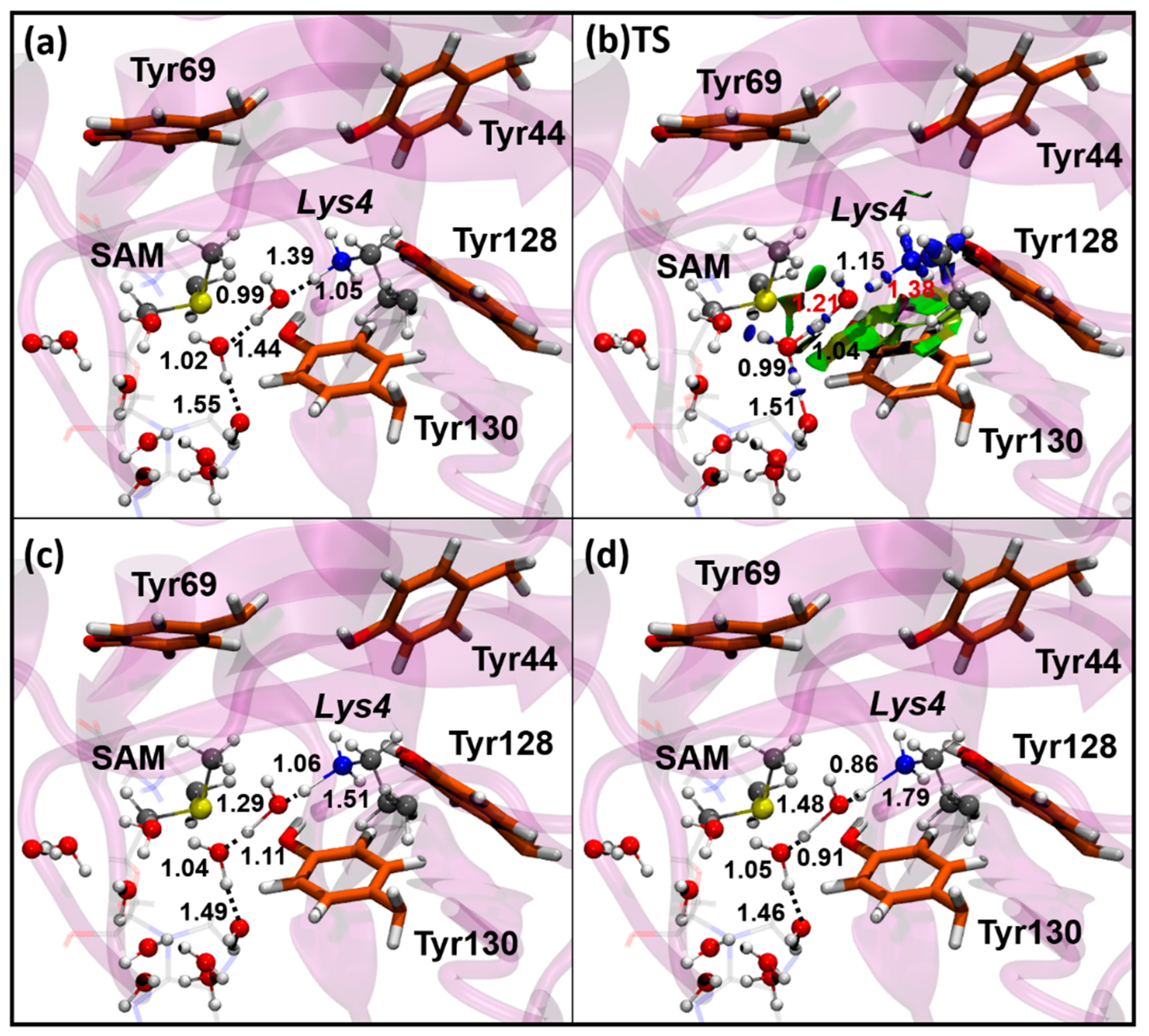 Biomolecules 11 01051 g003