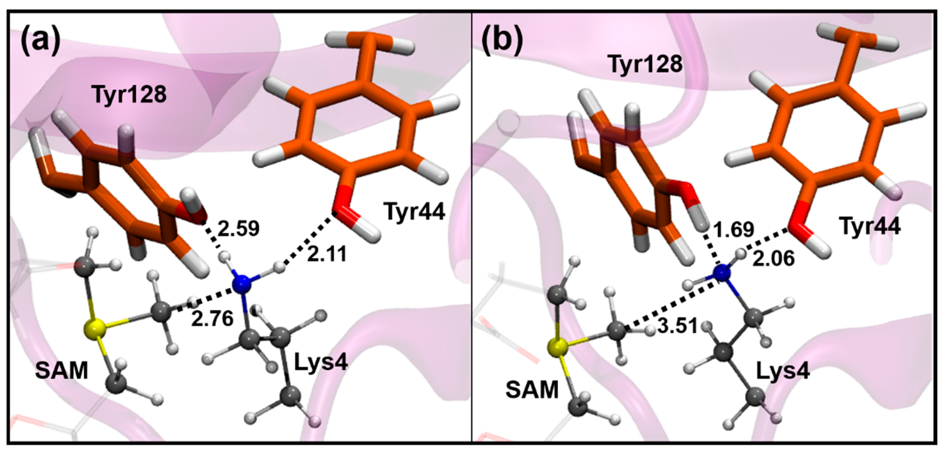 Biomolecules 11 01051 g005