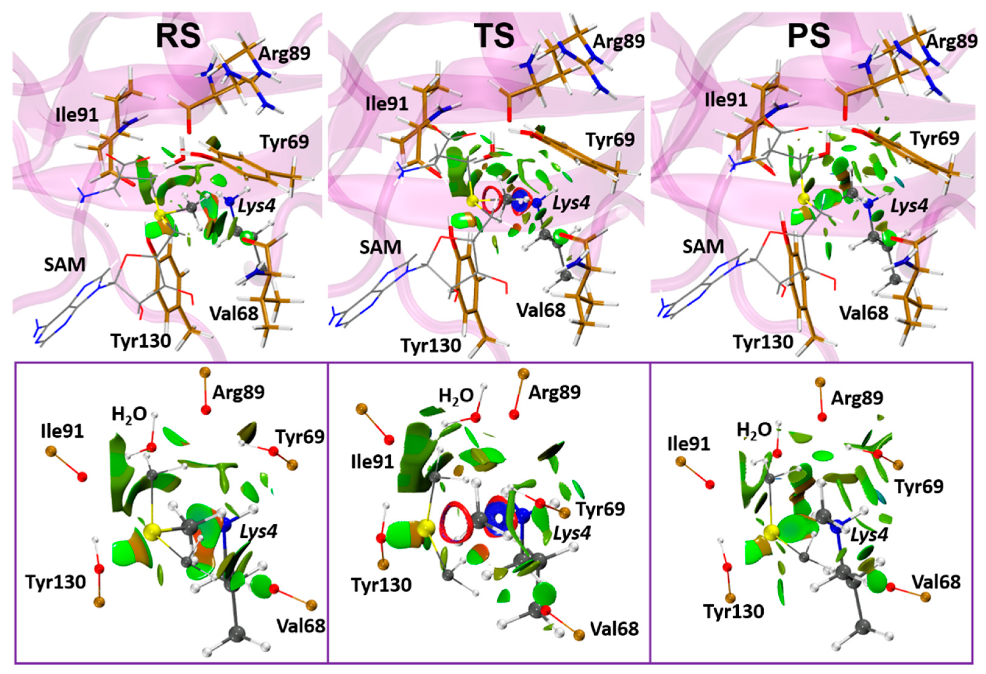 Biomolecules 11 01051 g006