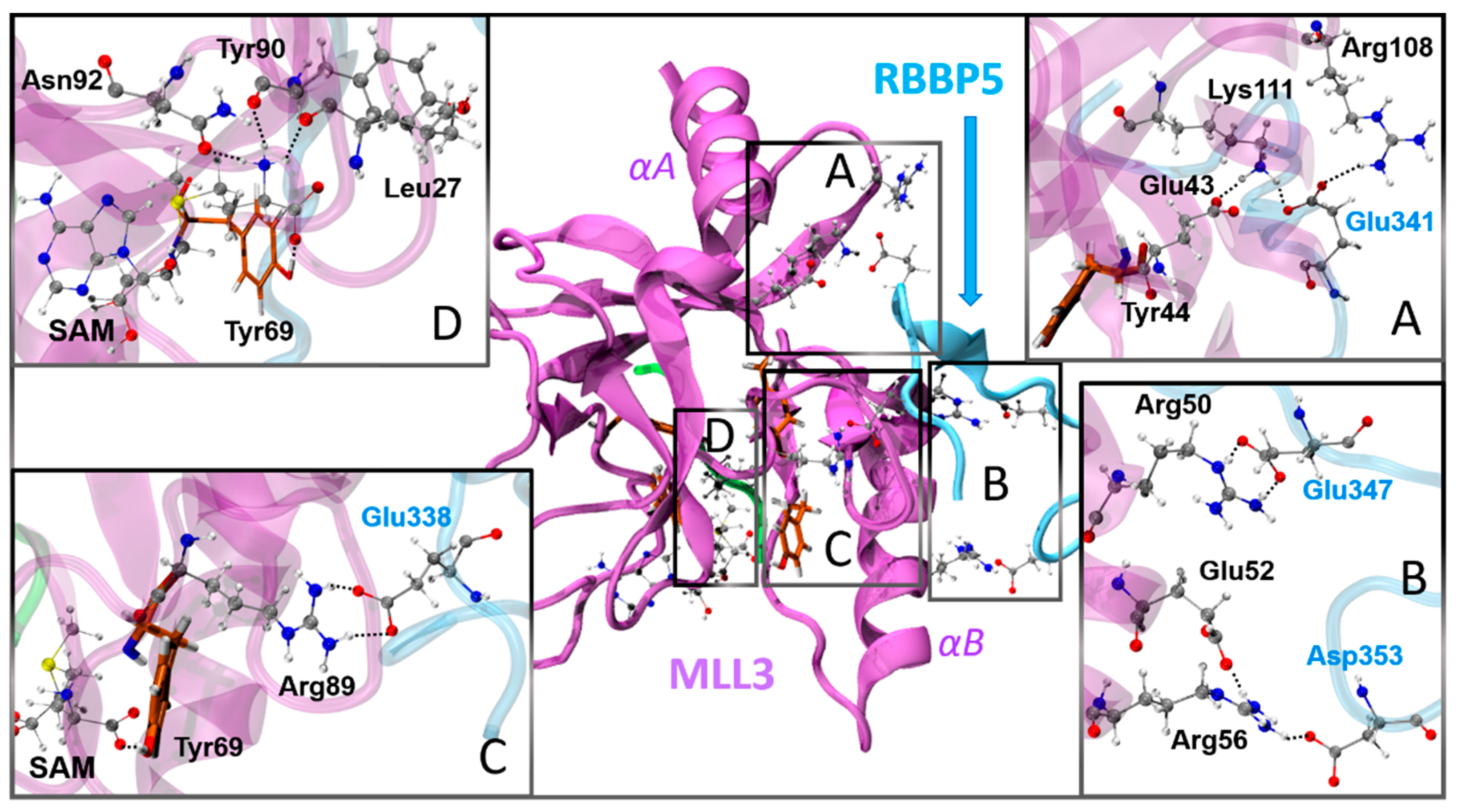 Biomolecules 11 01051 g008