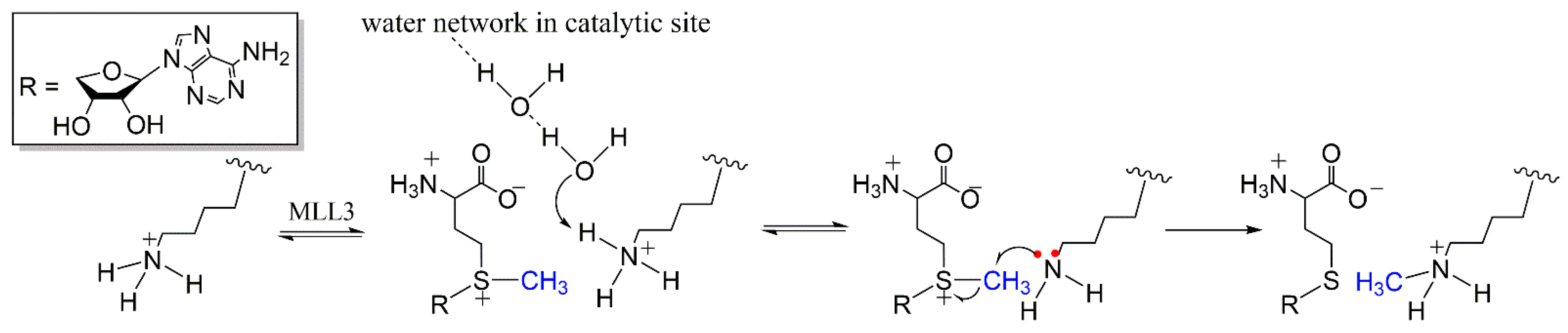 Biomolecules 11 01051 sch001