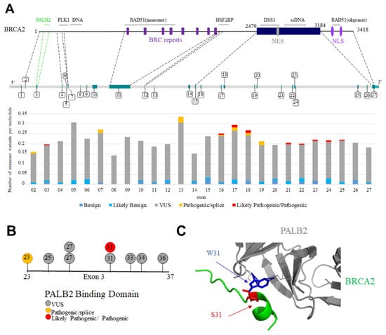 Biomolecules 11 01060 g007 550