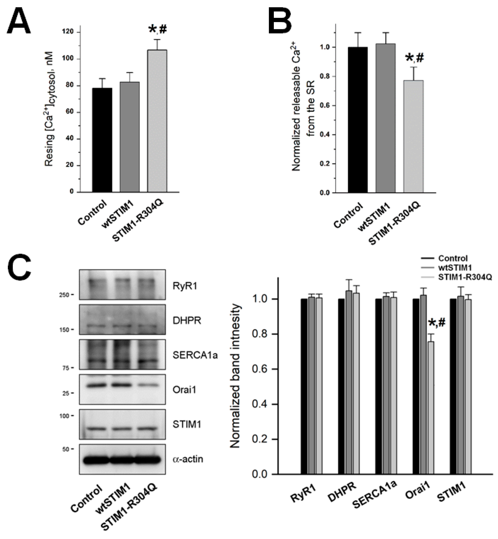 Biomolecules 11 01064 g003