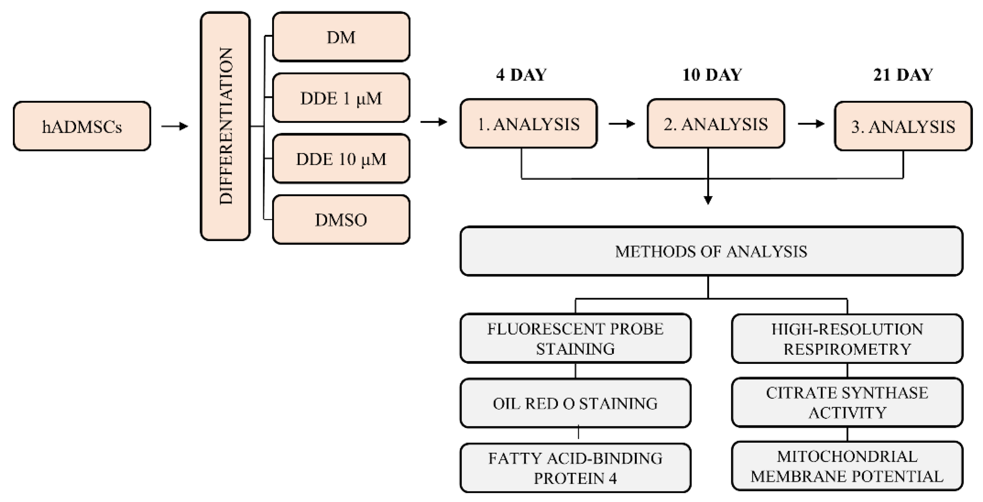 Biomolecules 11 01068 g001