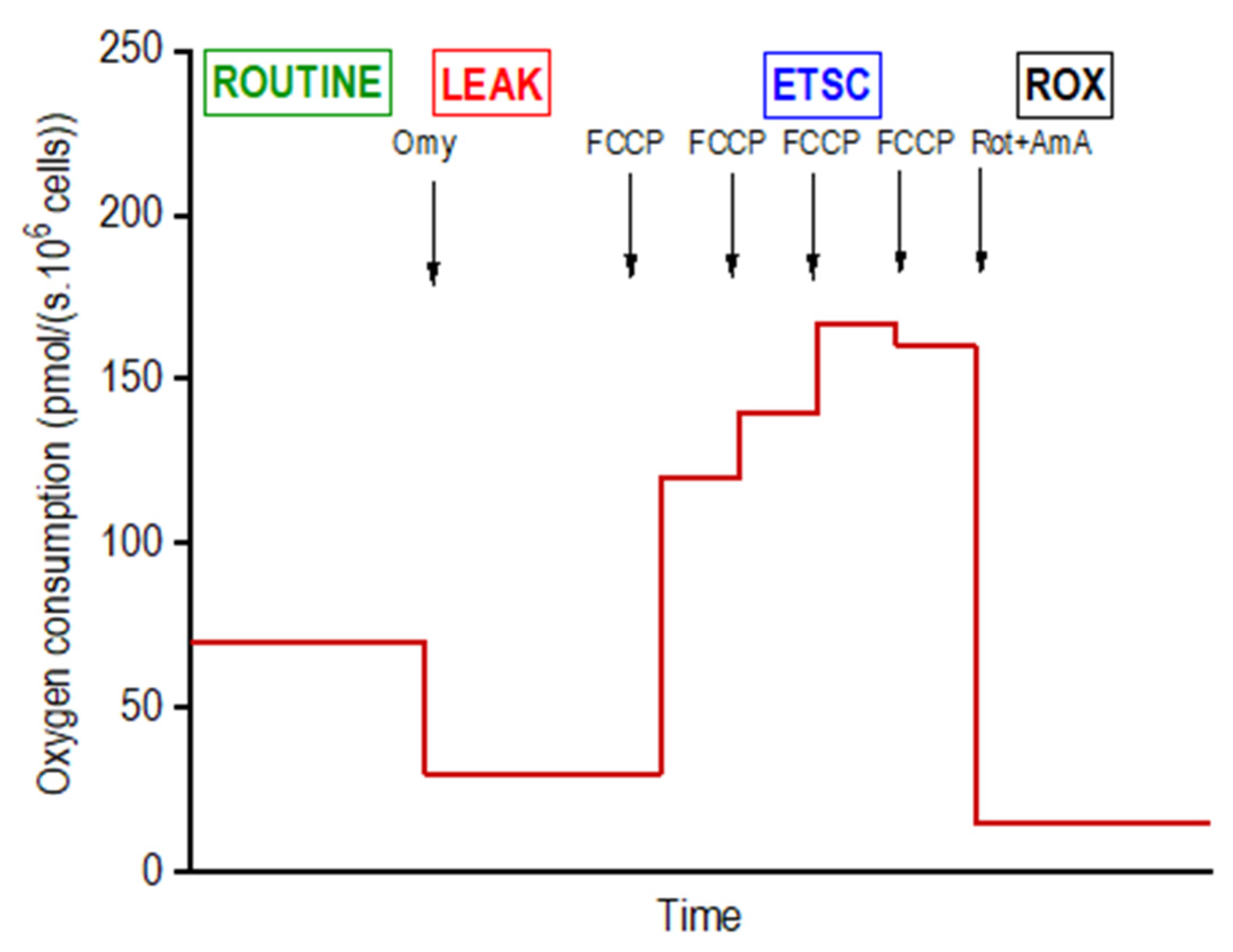 Biomolecules 11 01068 g002