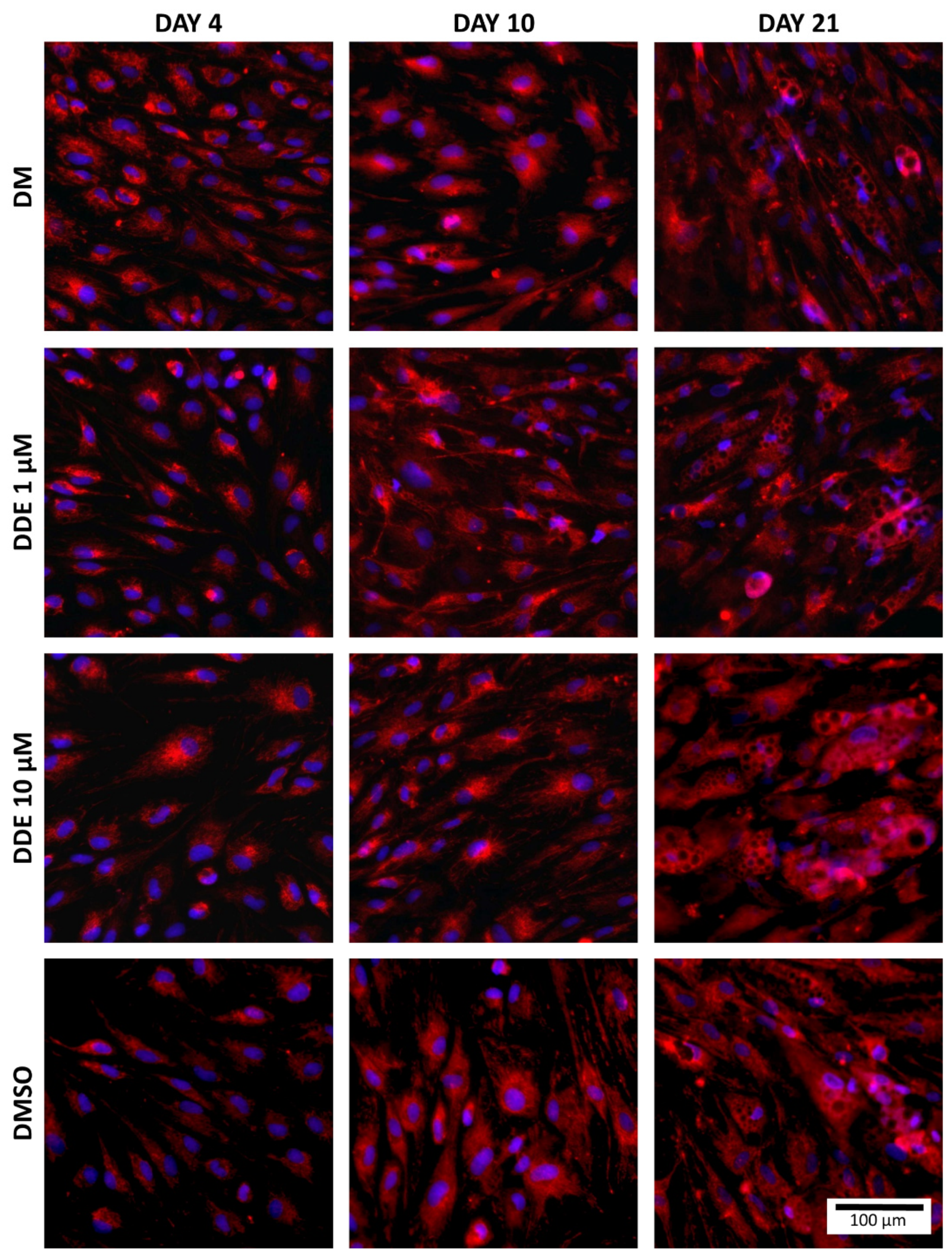 Biomolecules 11 01068 g004