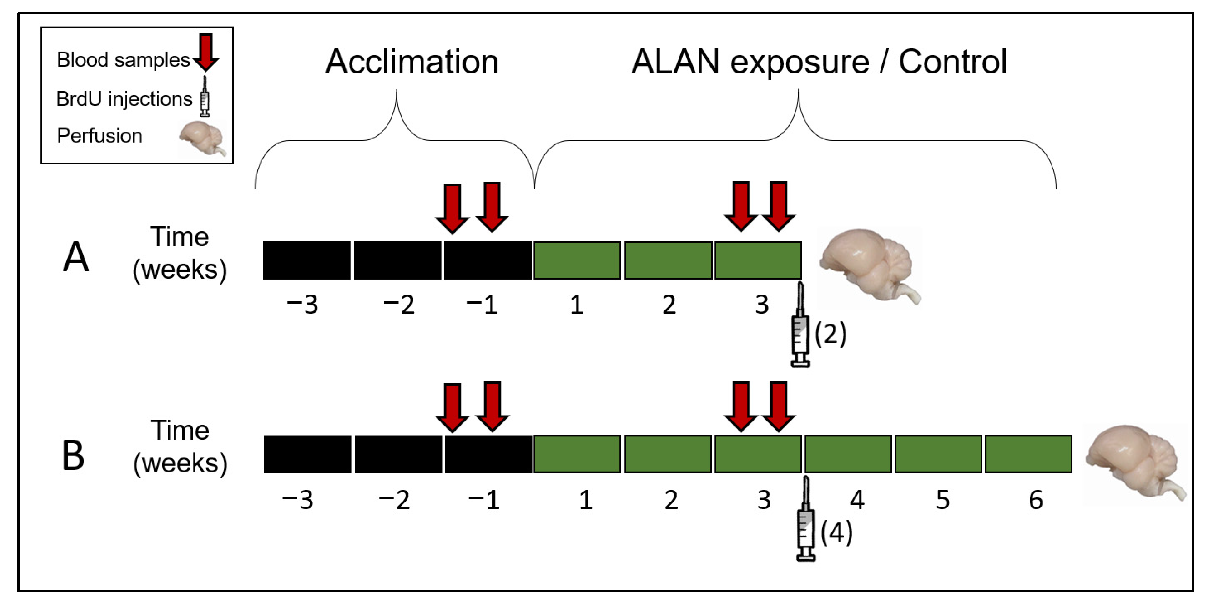 Biomolecules 11 01069 g001