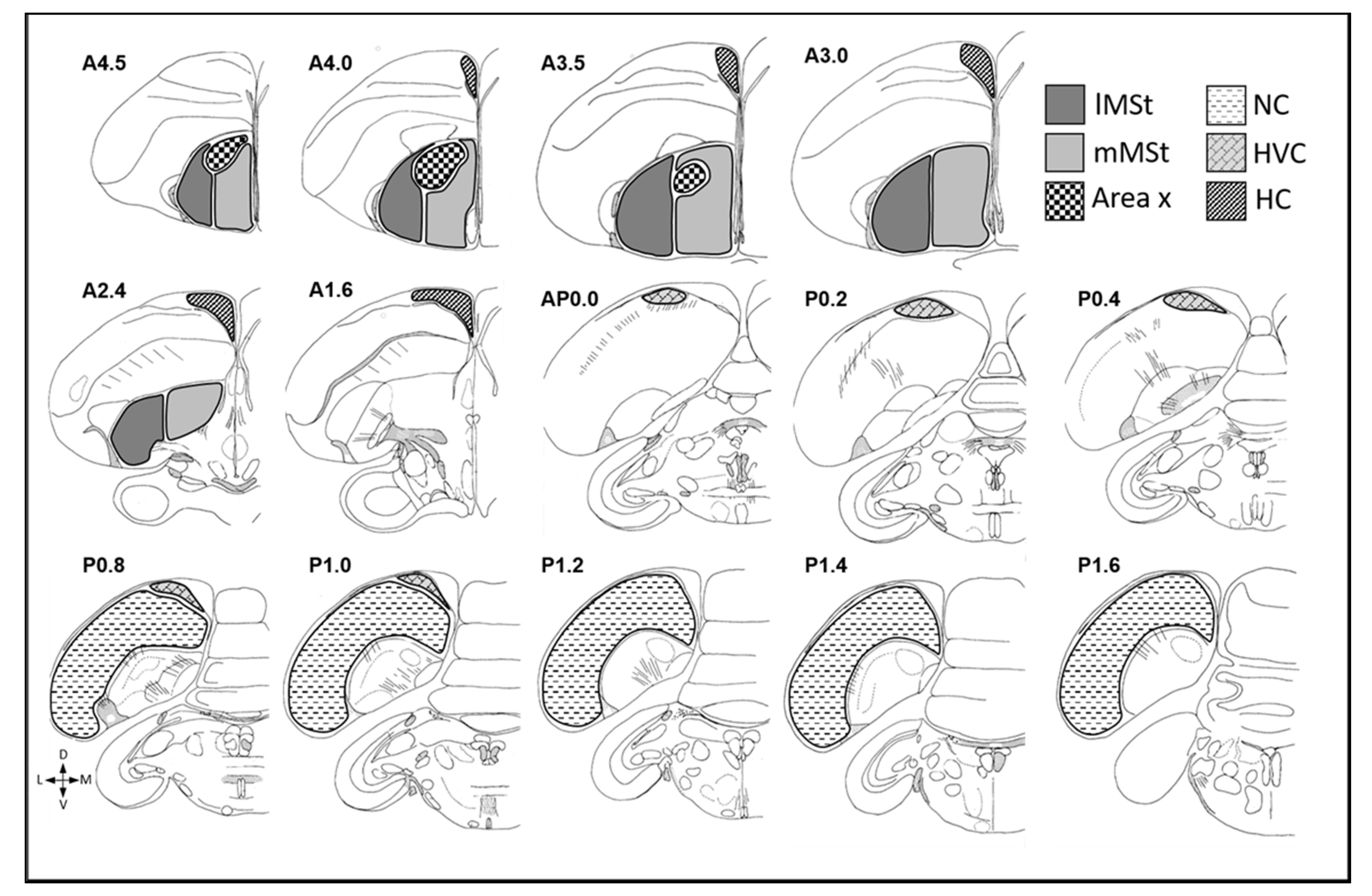 Biomolecules 11 01069 g005