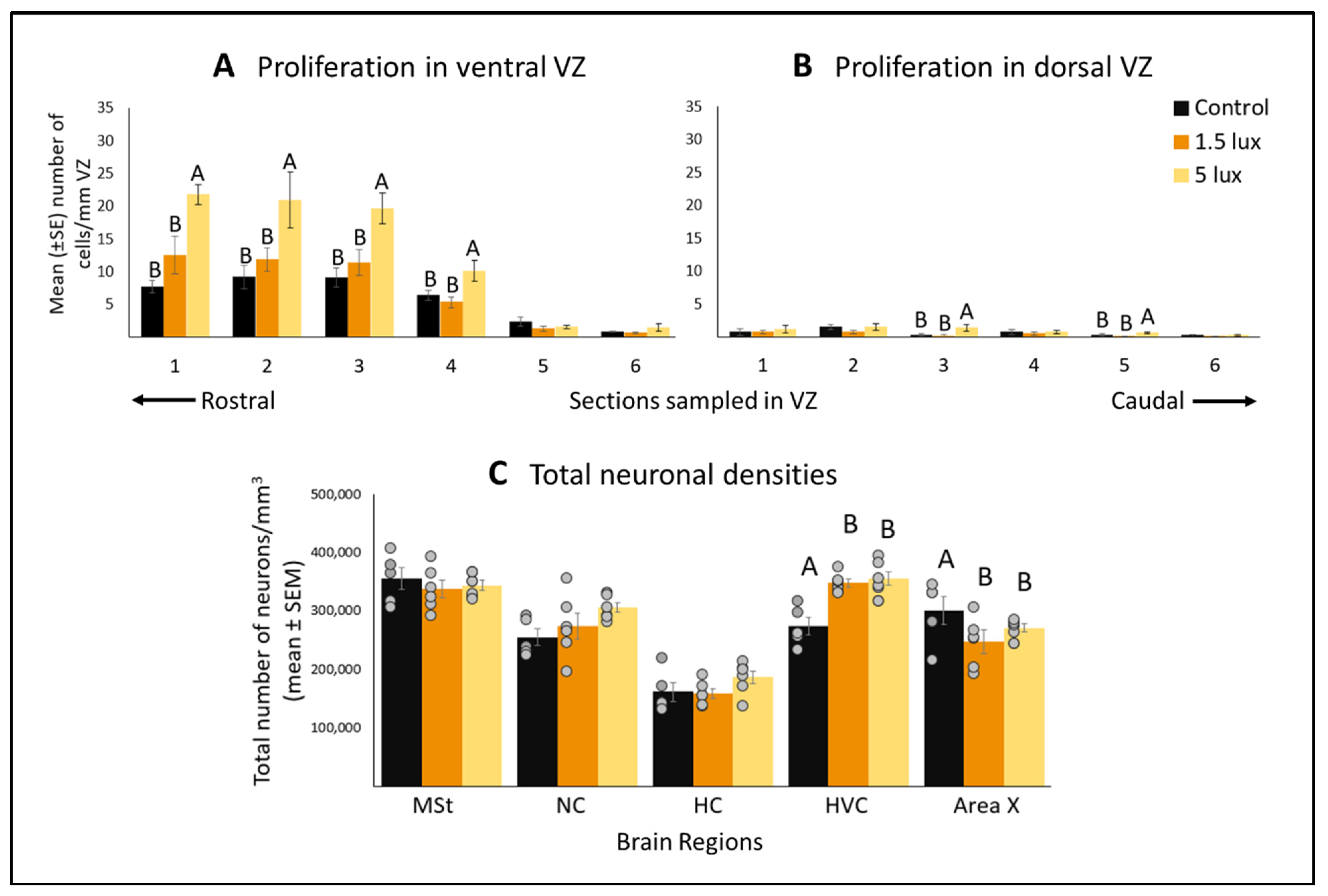 Biomolecules 11 01069 g006