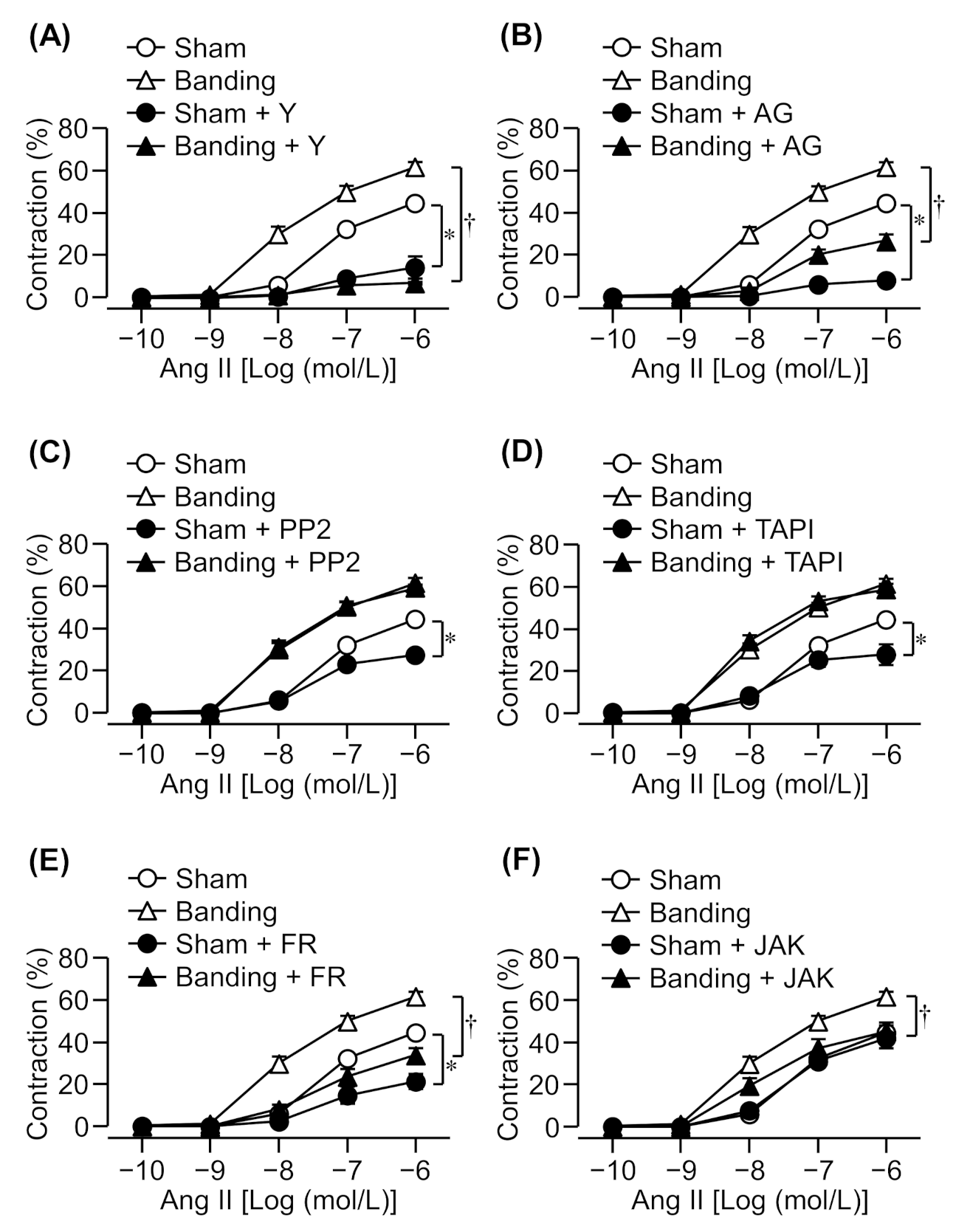 Biomolecules 11 01076 g001