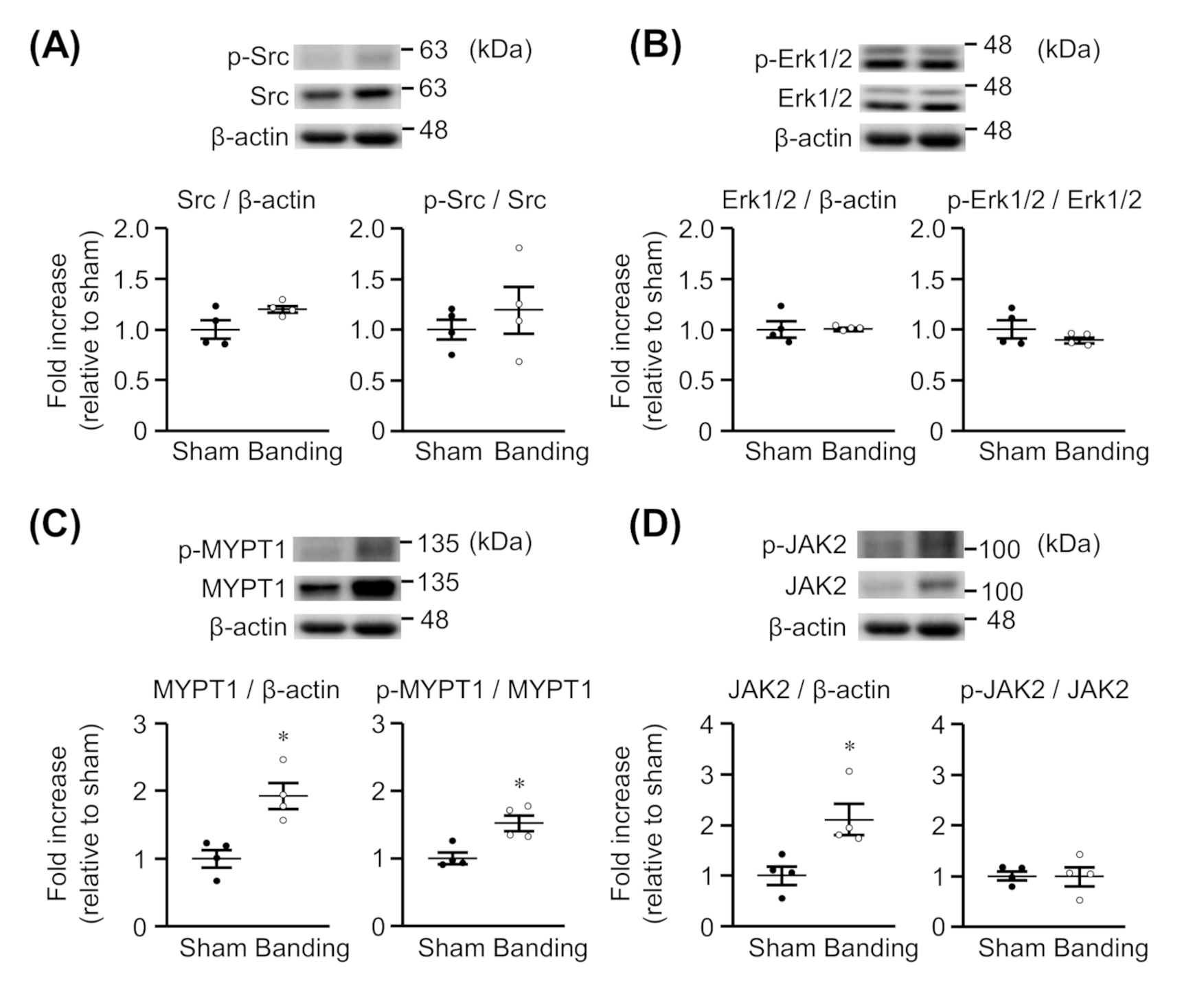 Biomolecules 11 01076 g002