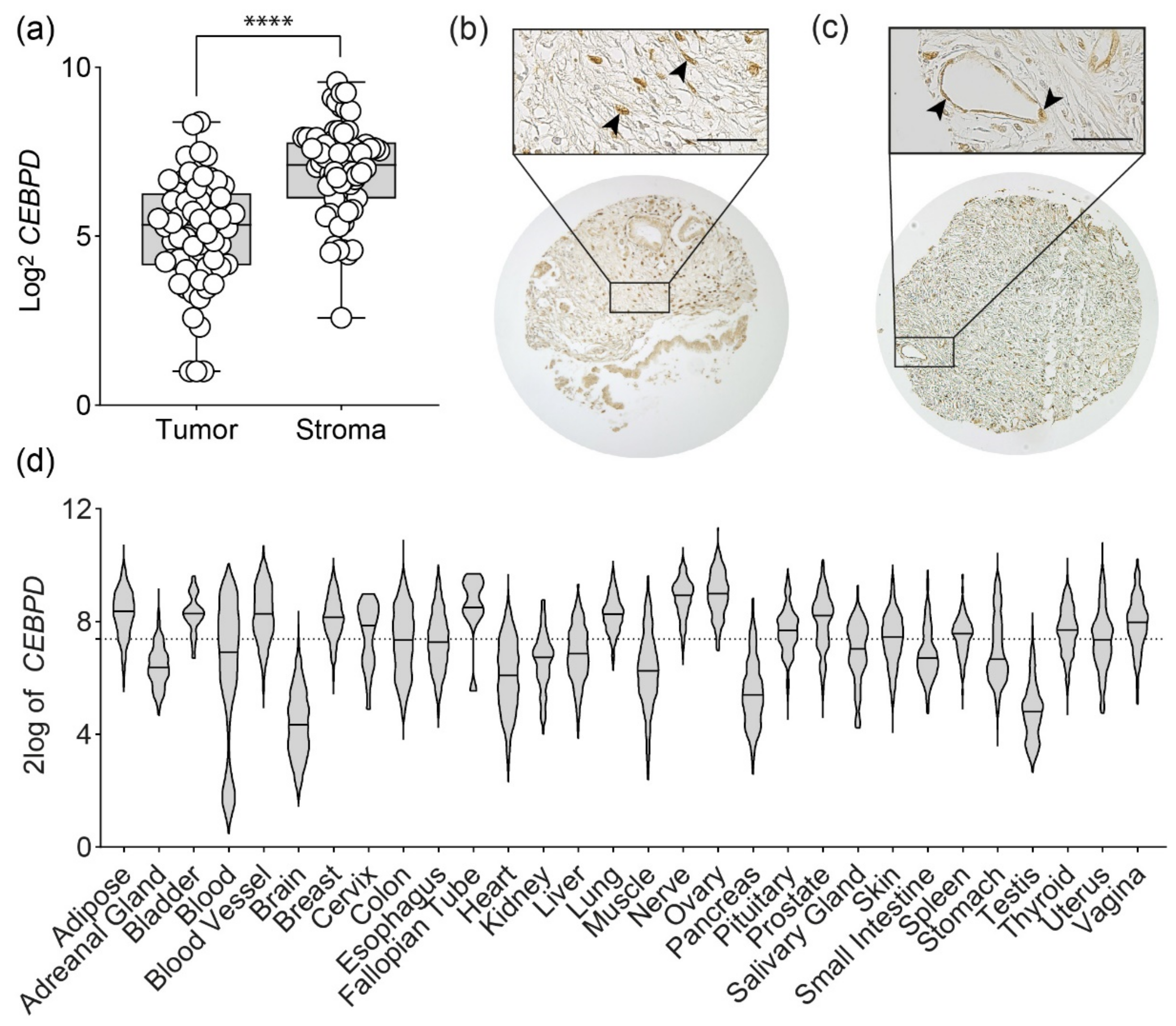 Biomolecules 11 01079 g001 Biomolecules 11 01079 g001