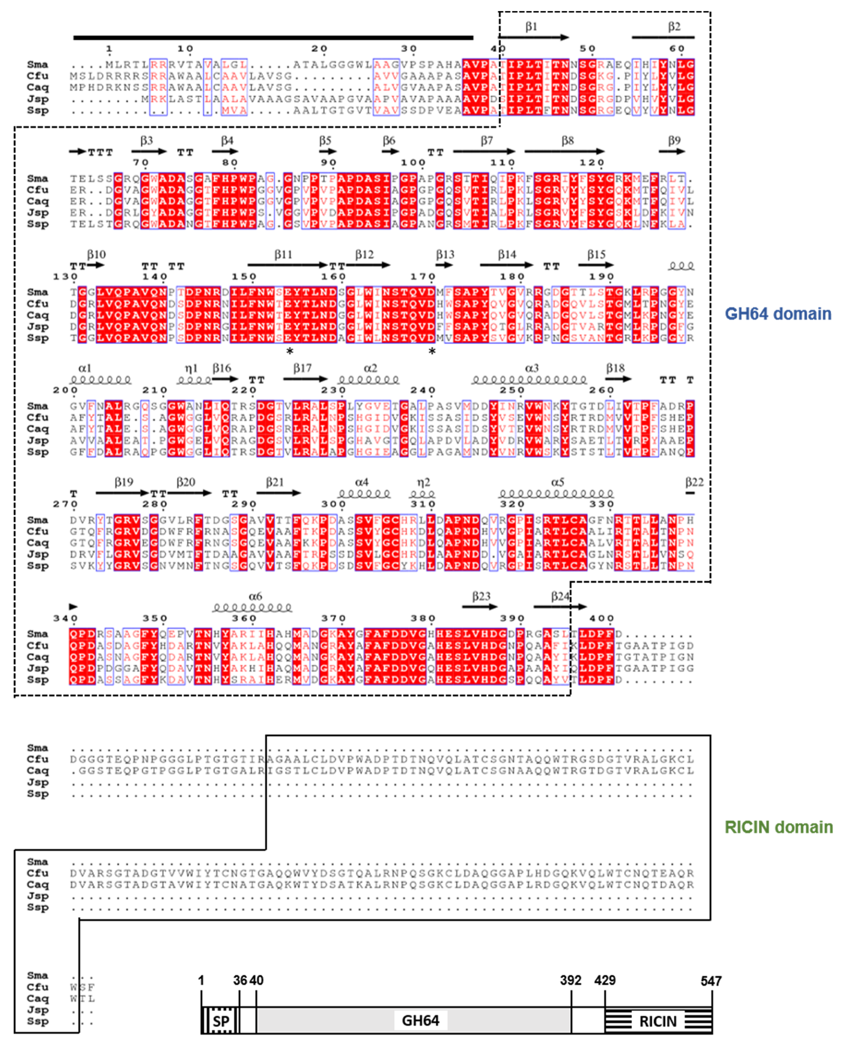 Biomolecules 11 01080 g001 Biomolecules 11 01080 g001