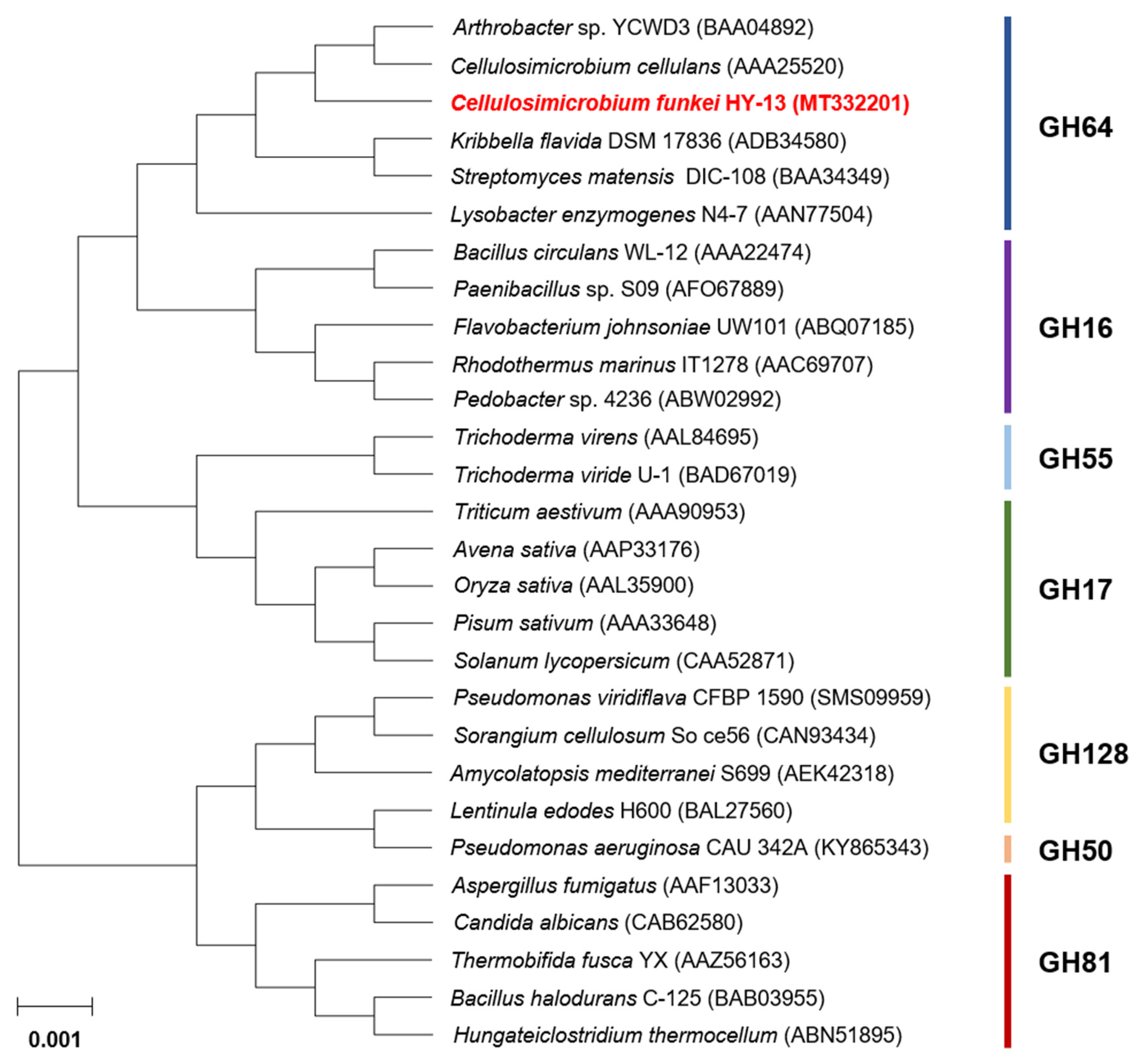 Biomolecules 11 01080 g002 Biomolecules 11 01080 g002