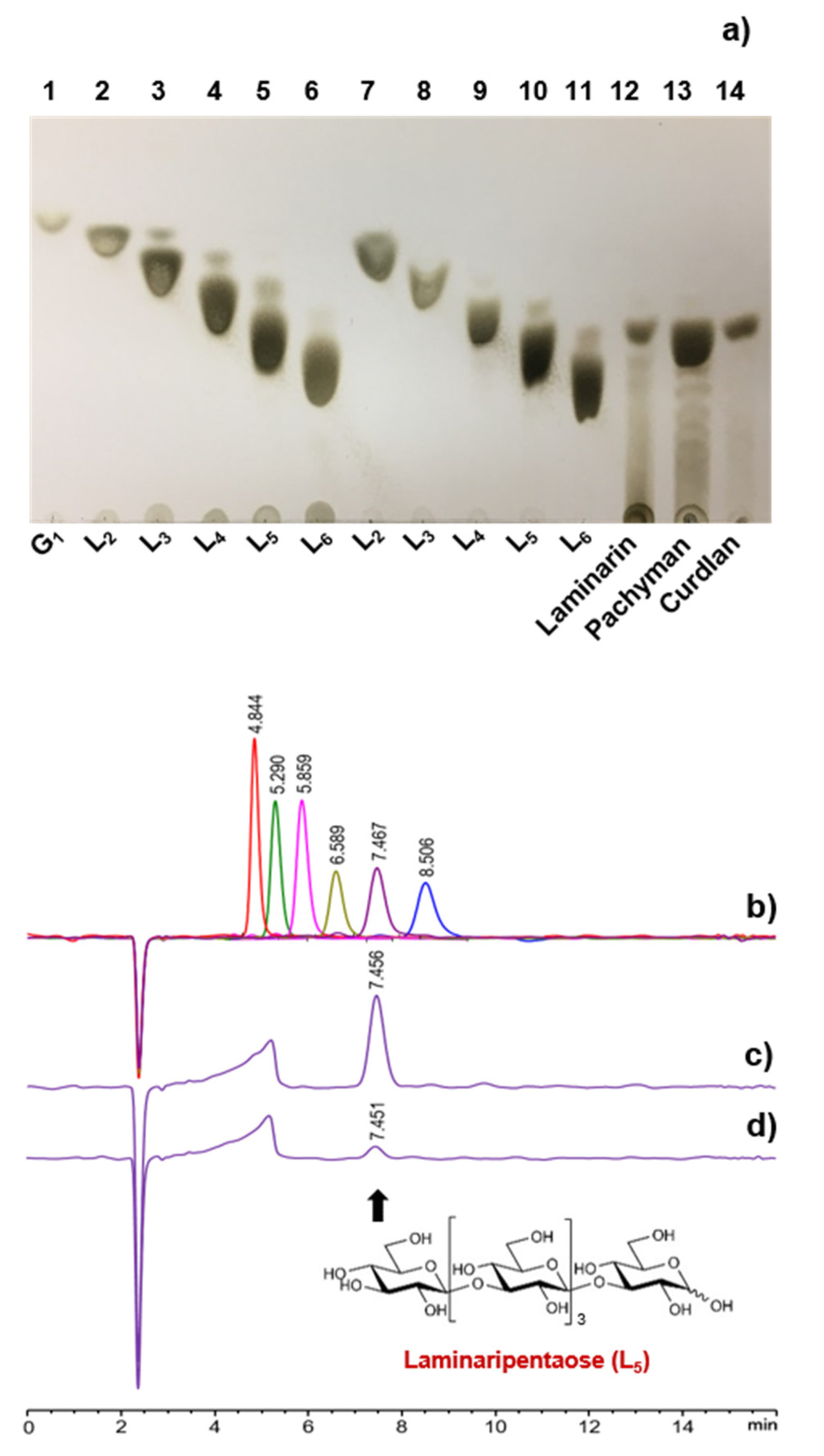 Biomolecules 11 01080 g005 Biomolecules 11 01080 g005