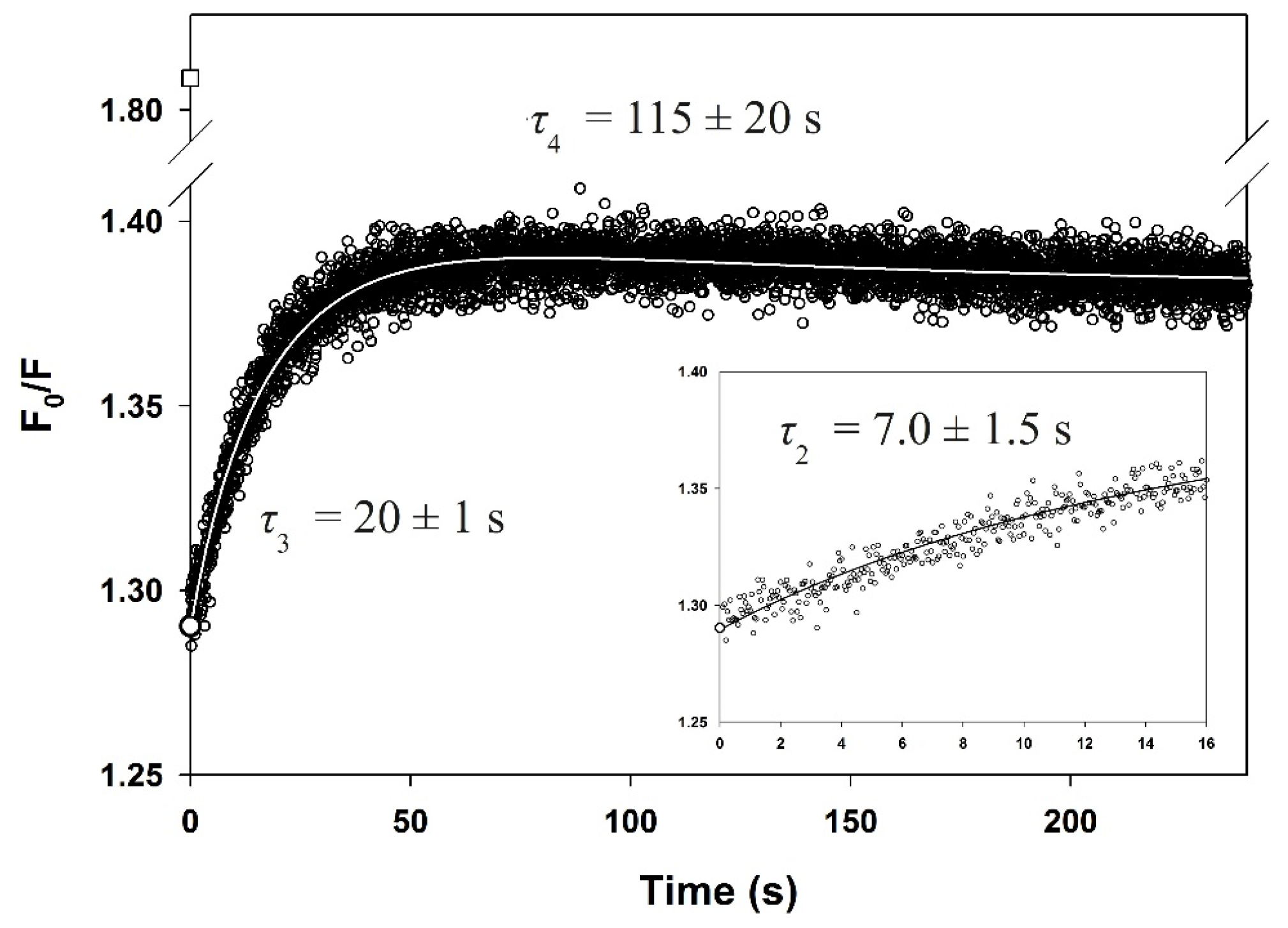 Biomolecules 11 01083 g008
